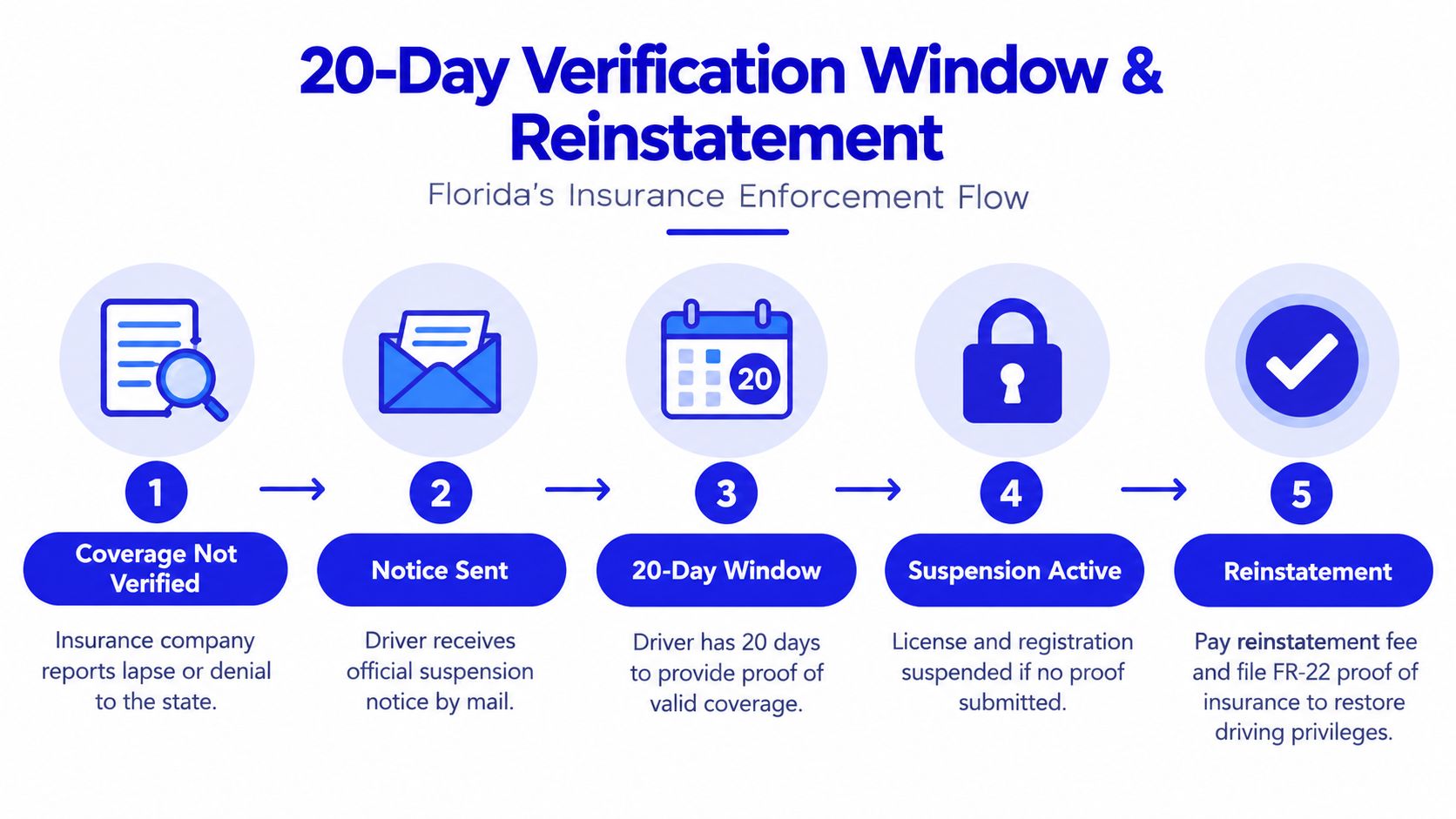 An infographic illustrating Florida's five-step insurance enforcement process for drivers facing potential license and registration suspension.