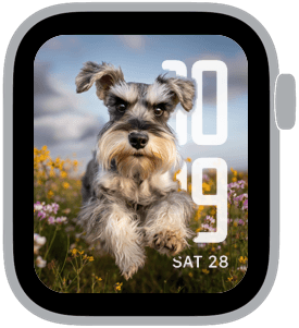 wildflower dogs Apple Watch face preview 5 featuring summer and spring.