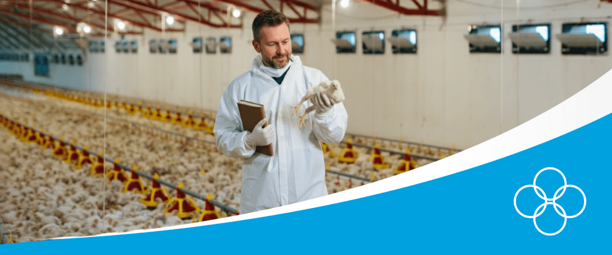 Champrix advisor holding a broiler