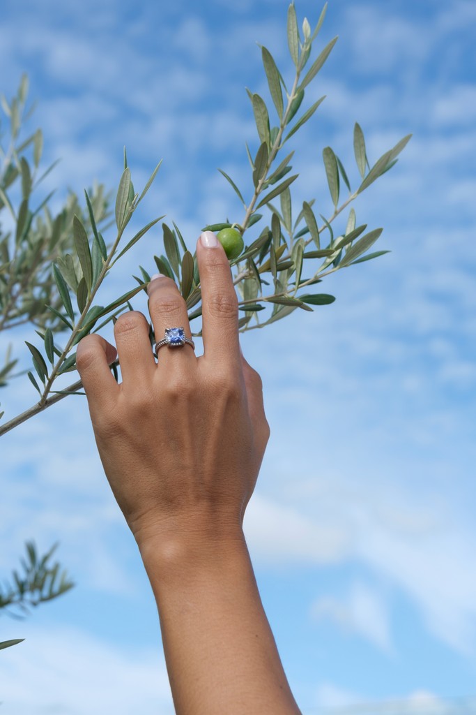 Eine Hand hält ein schwarzes Smartphone vor blauem Himmel, links sind unscharfe Olivenzweige zu sehen