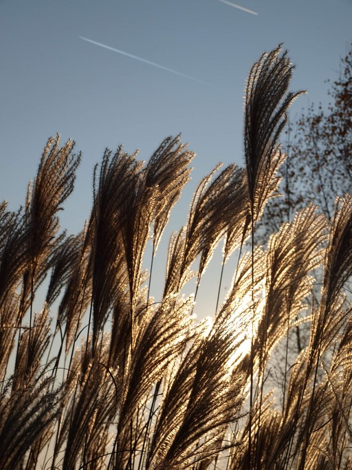 Close-up portrait of a person in natural lighting.