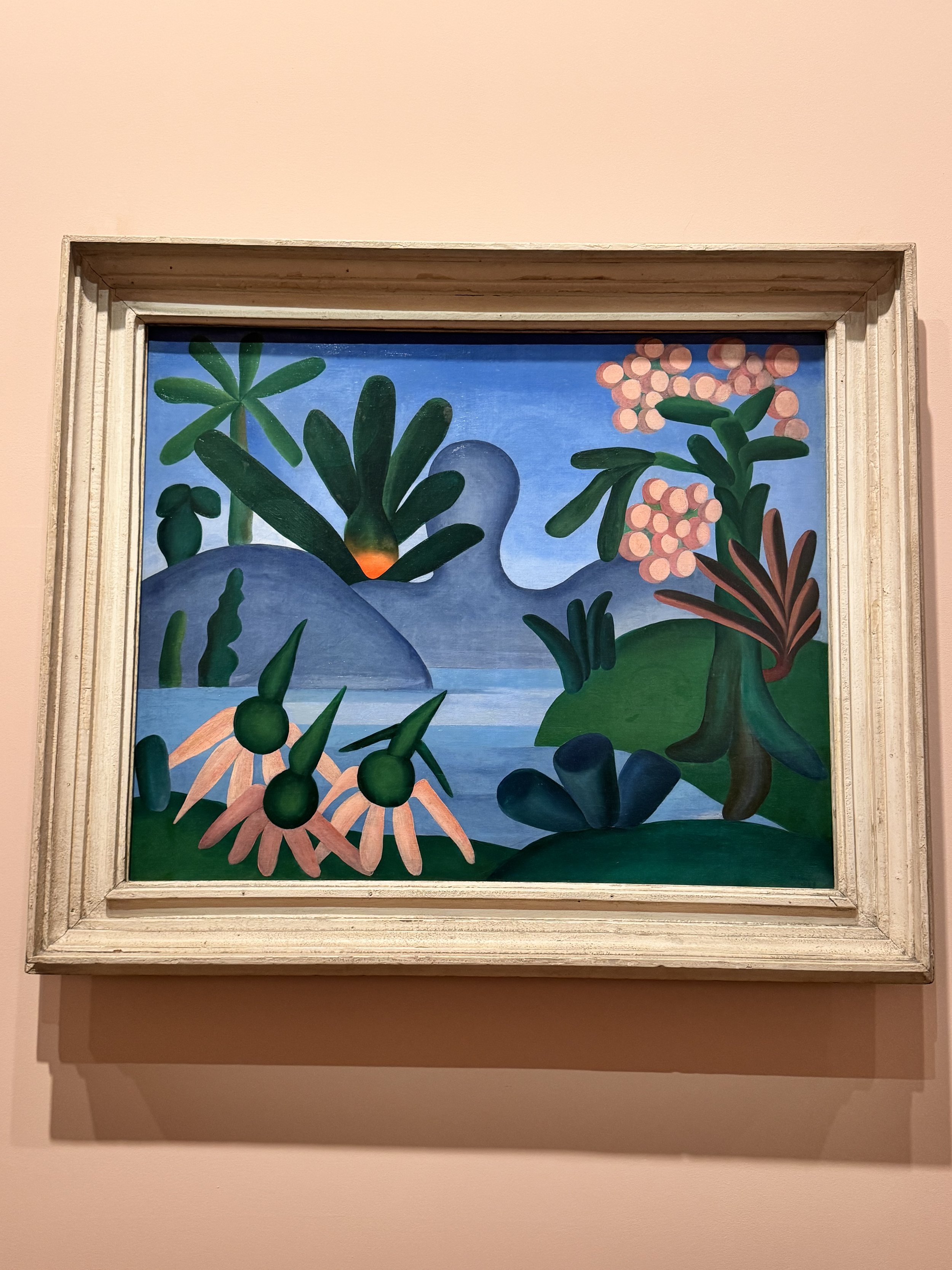 Brasil + Tarsila do Amaral
