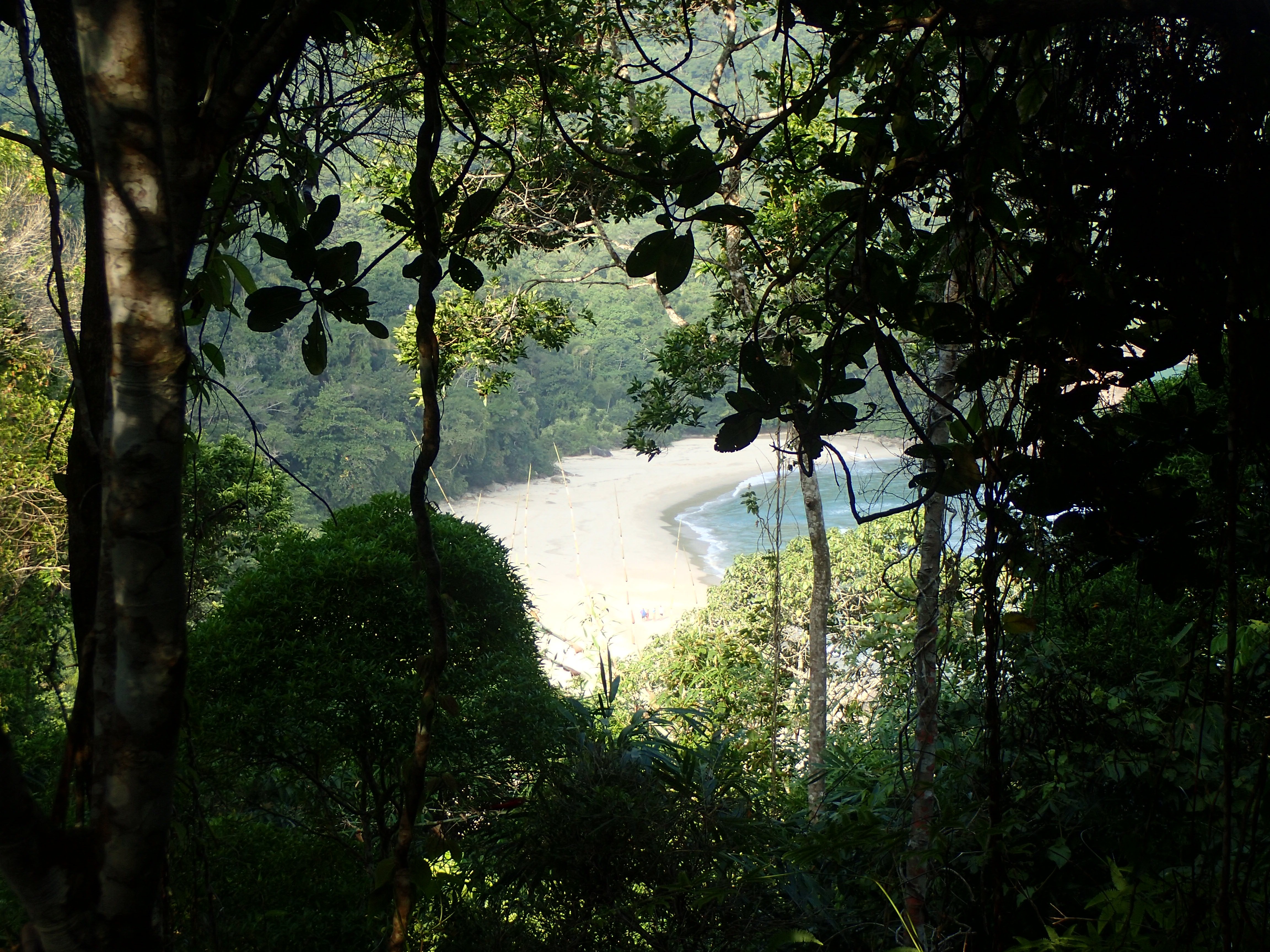 Wedding in nature