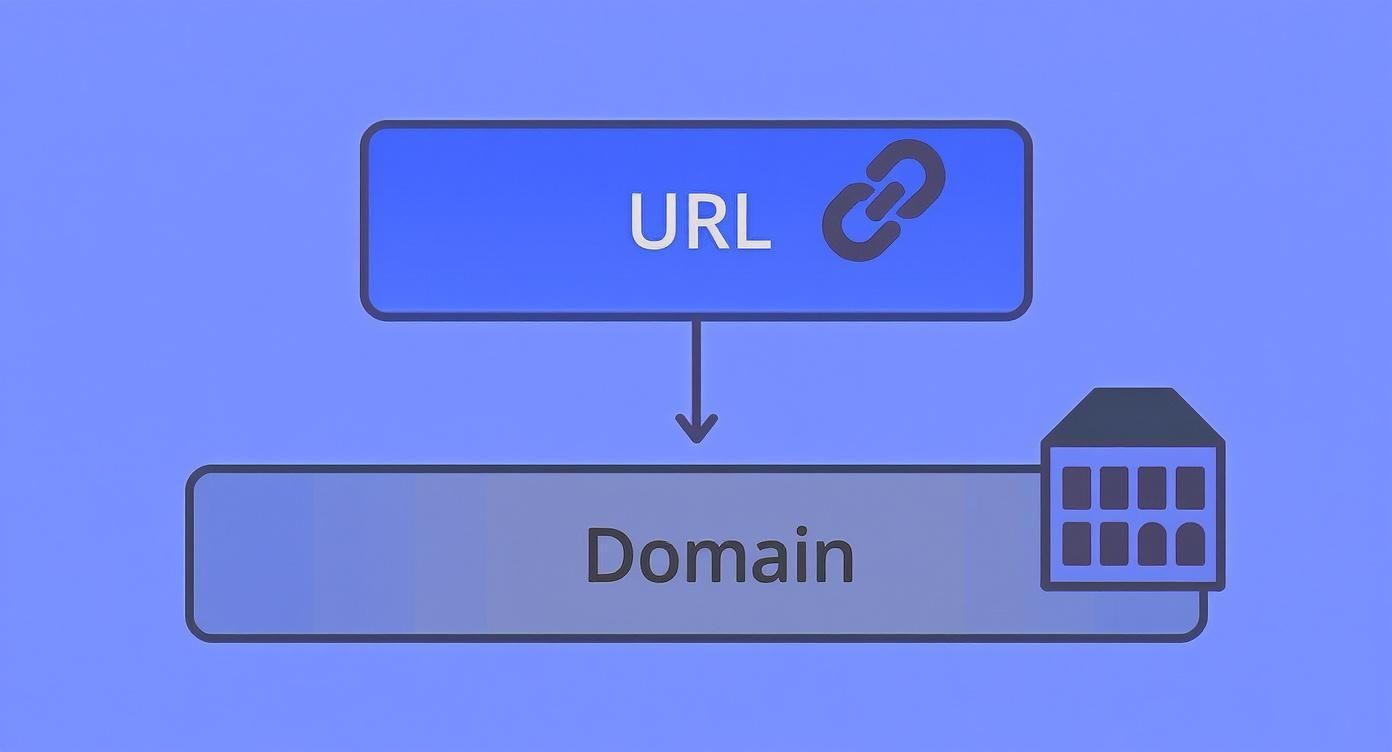 Diagram illustrating a URL (Universal Resource Locator) pointing to a Domain Name, with their respective icons.