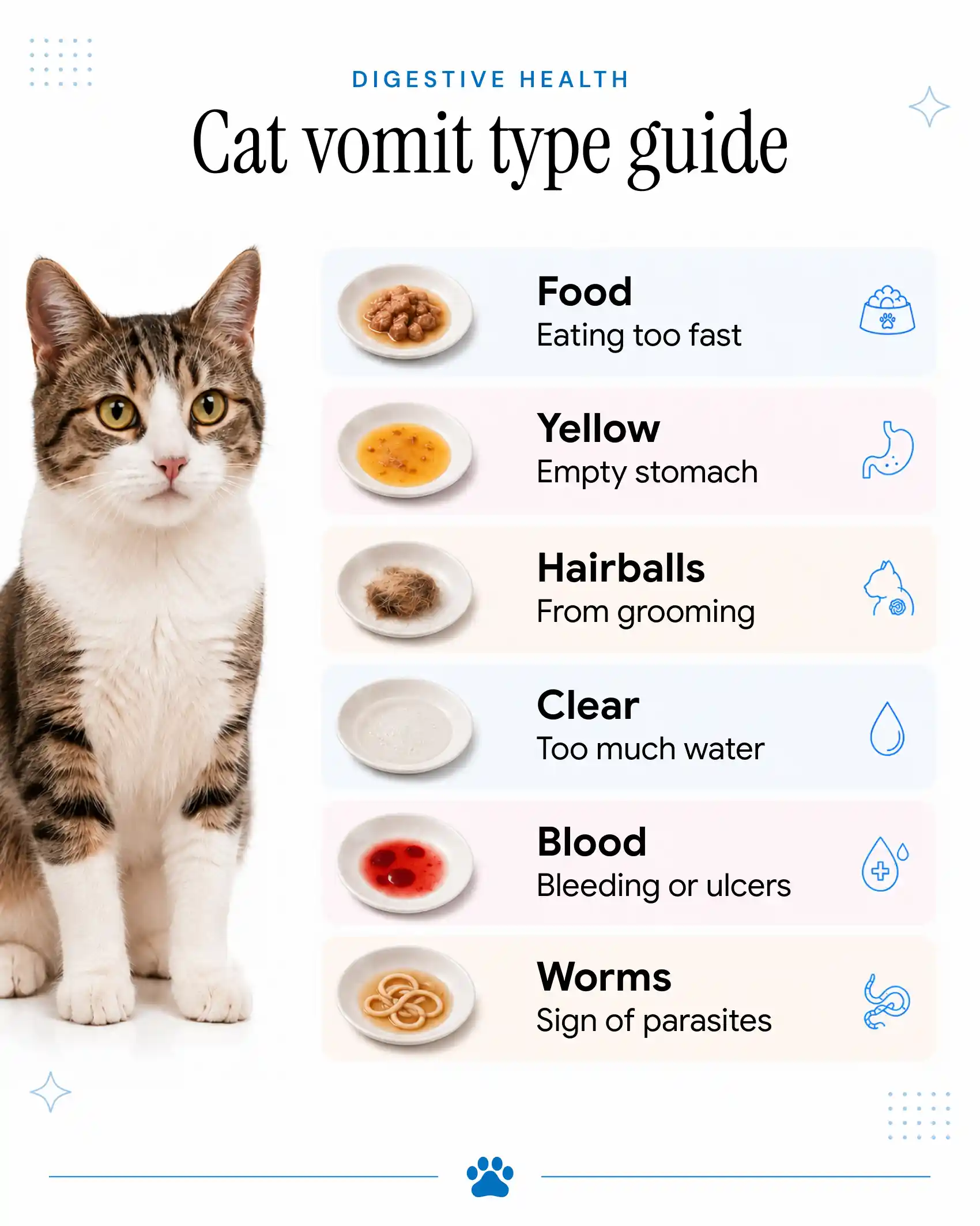 An inforgraphic showing the different types of cat vomit and what they mean.