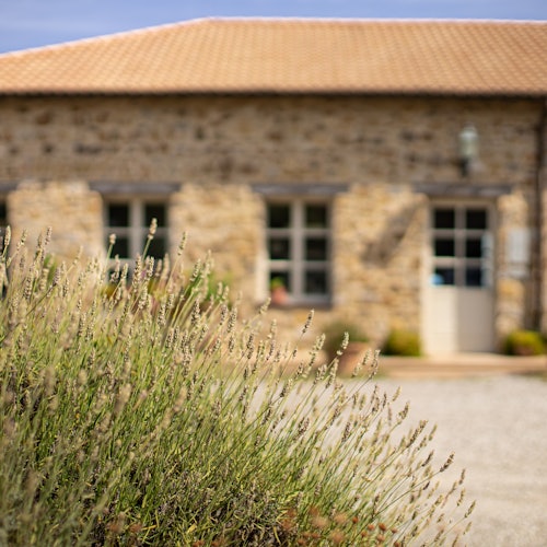 Tasting Room