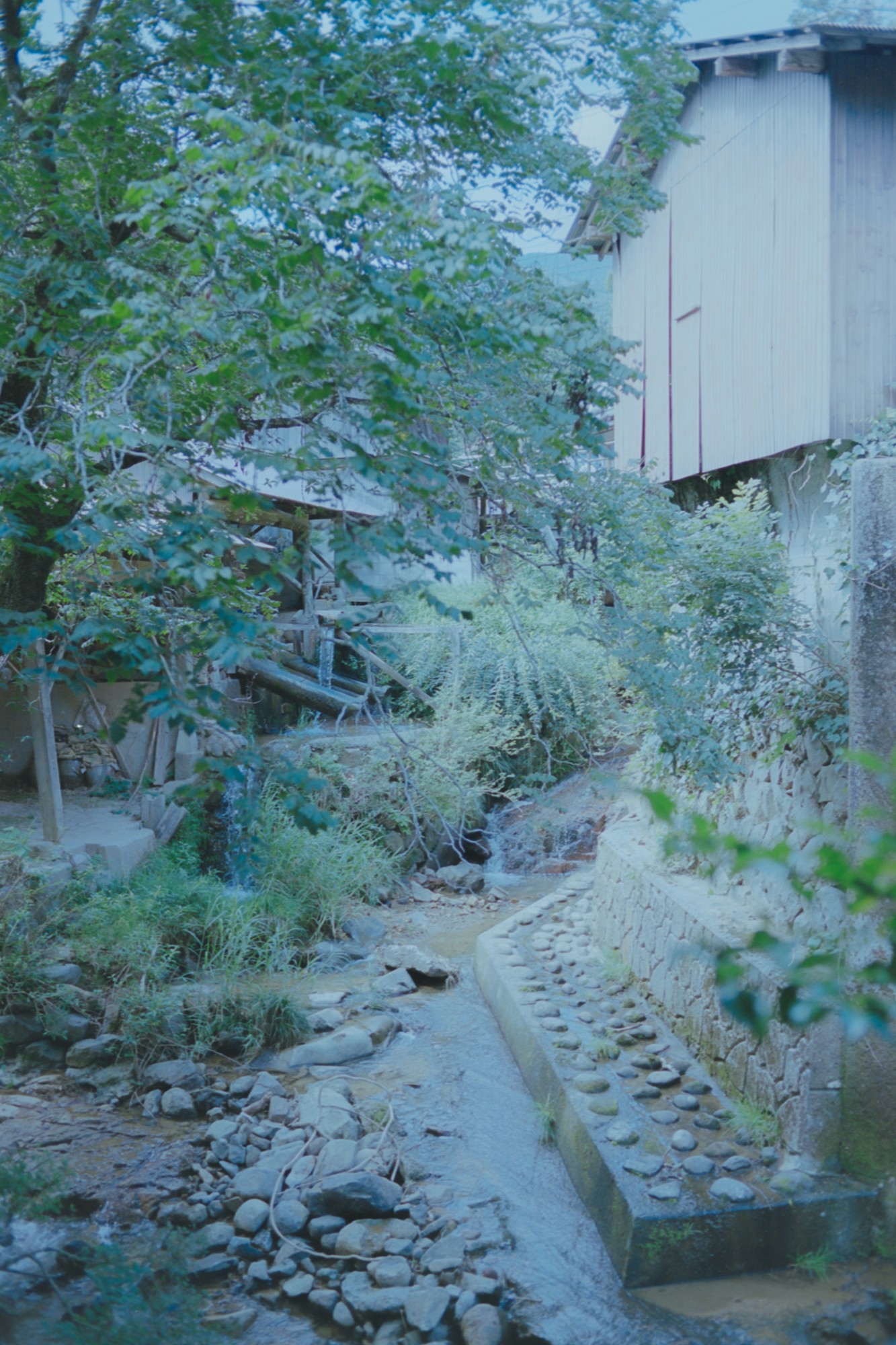 Taisei Matsumoto, 2023 exhibition view 13