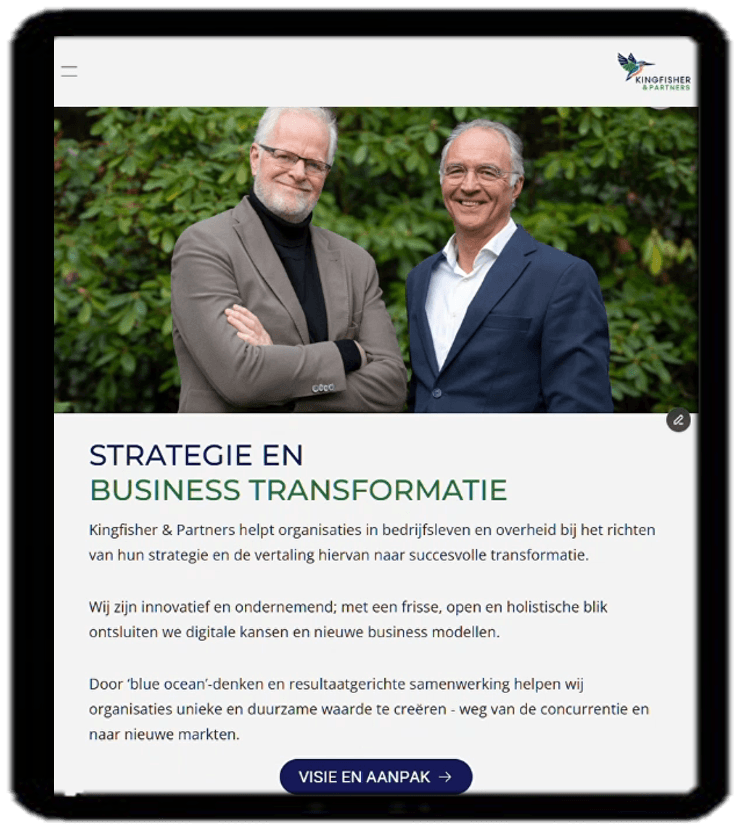 Professioneel website ontwerp en visuele identiteit voor adviesbureau
