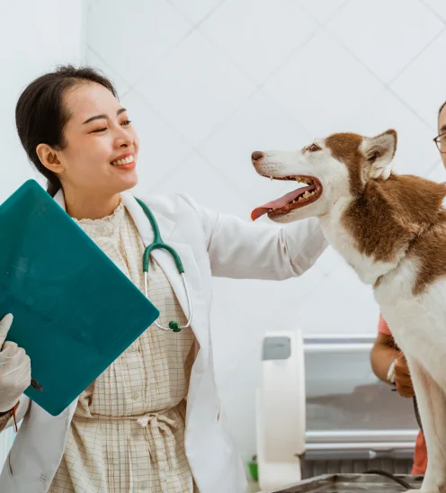 Veterinarian examining dog with owner