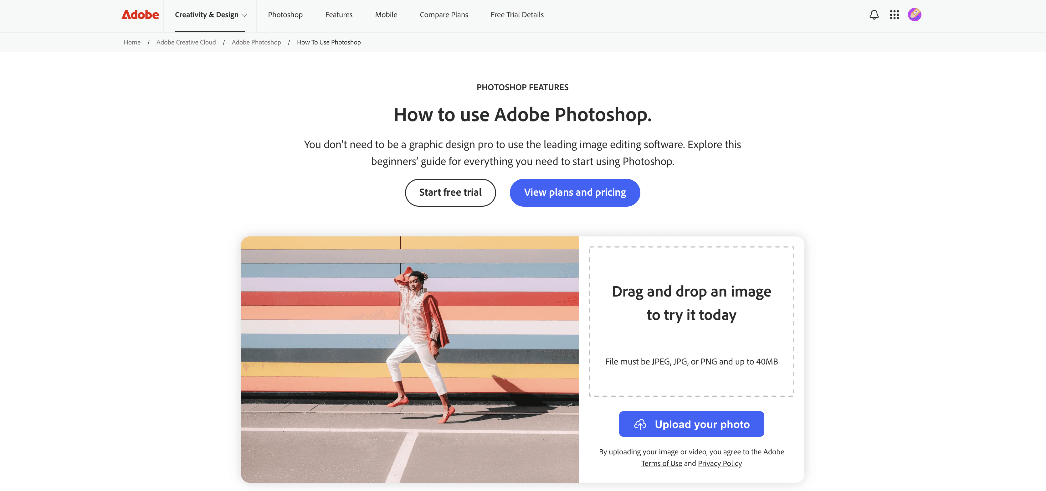 Adobe beginner guide explaining how to use Photoshop with an interactive image editing exercise