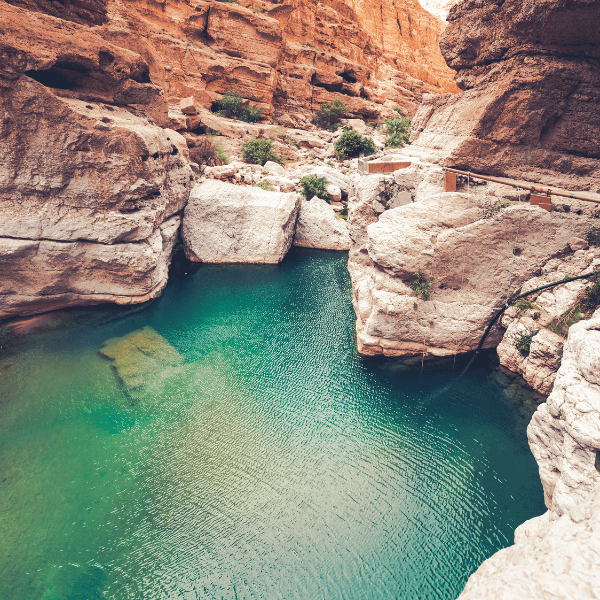 Reasons to choose Wadi Hub for supplier engagement, affordable sustainability, expert support, and practical solutions for UK businesses aiming to reduce costs and carbon across their supply chain