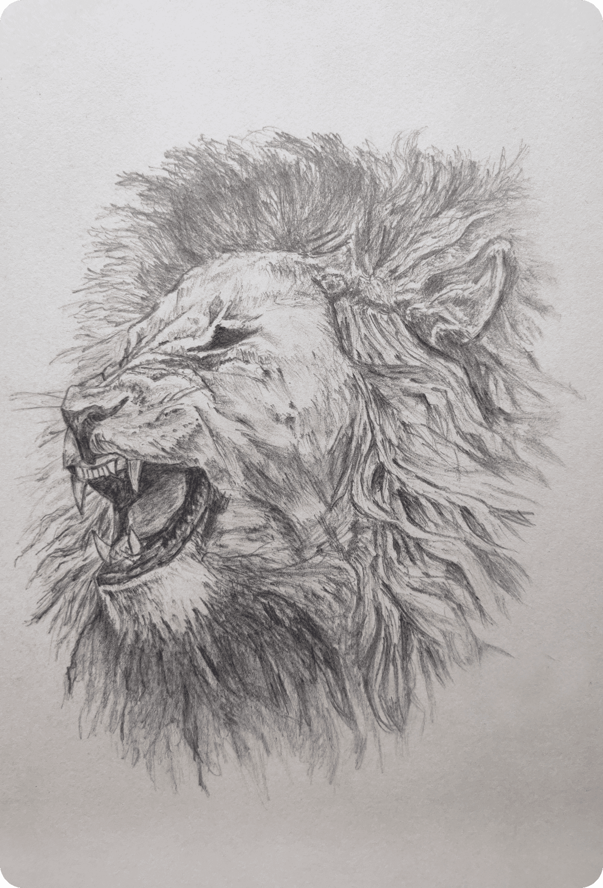 Lion King Sketch