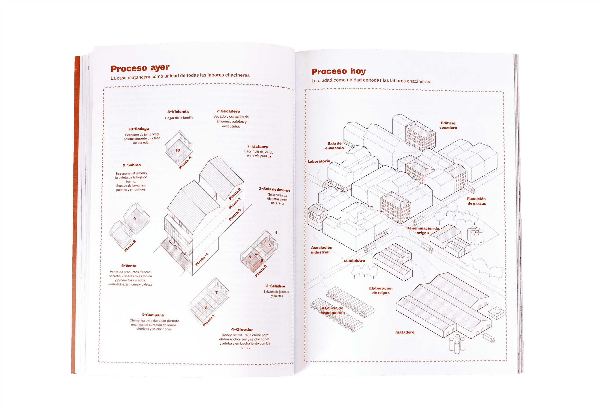 Page processes past and present