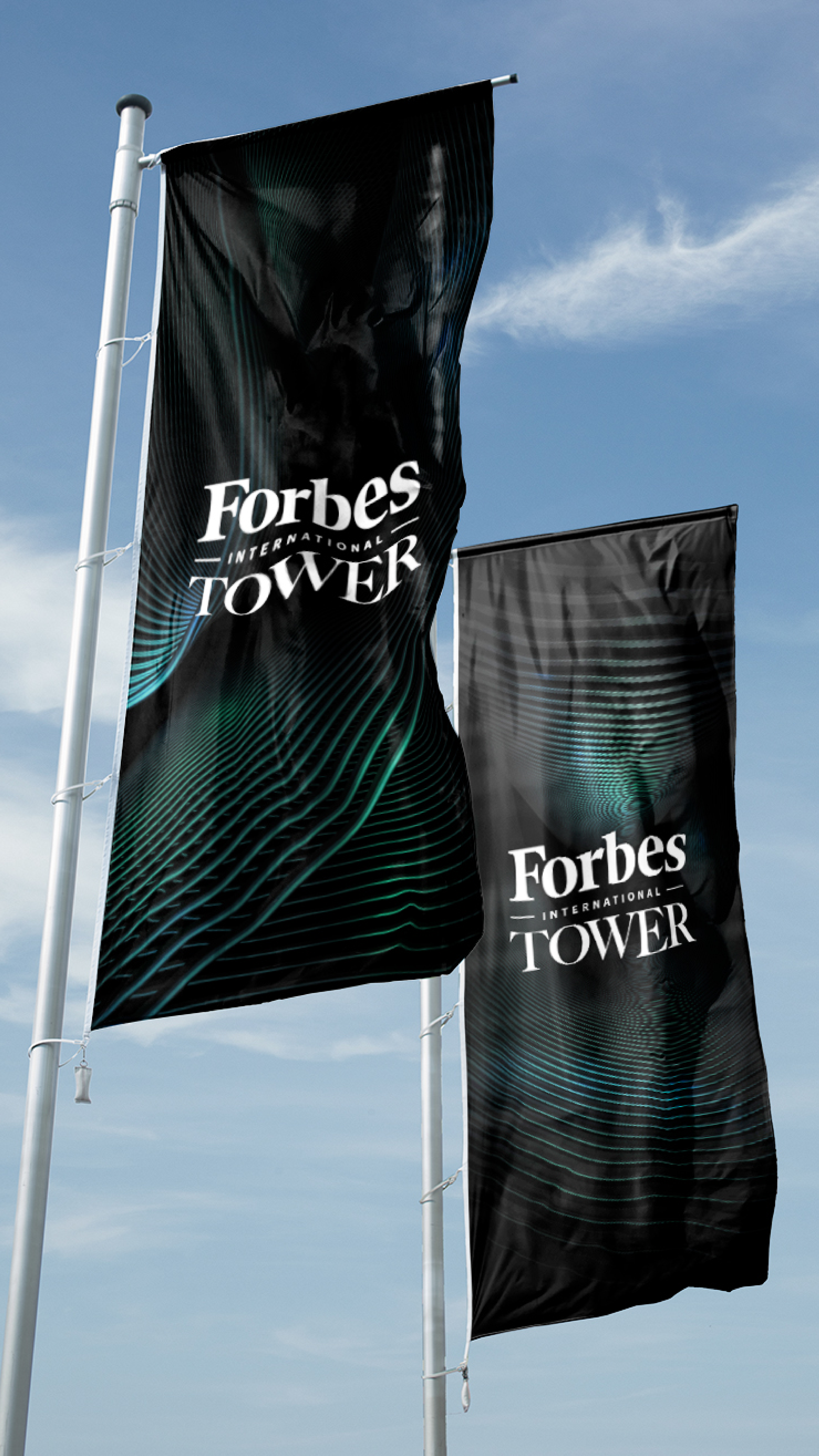 Dom Pérignon vineyards from the sky