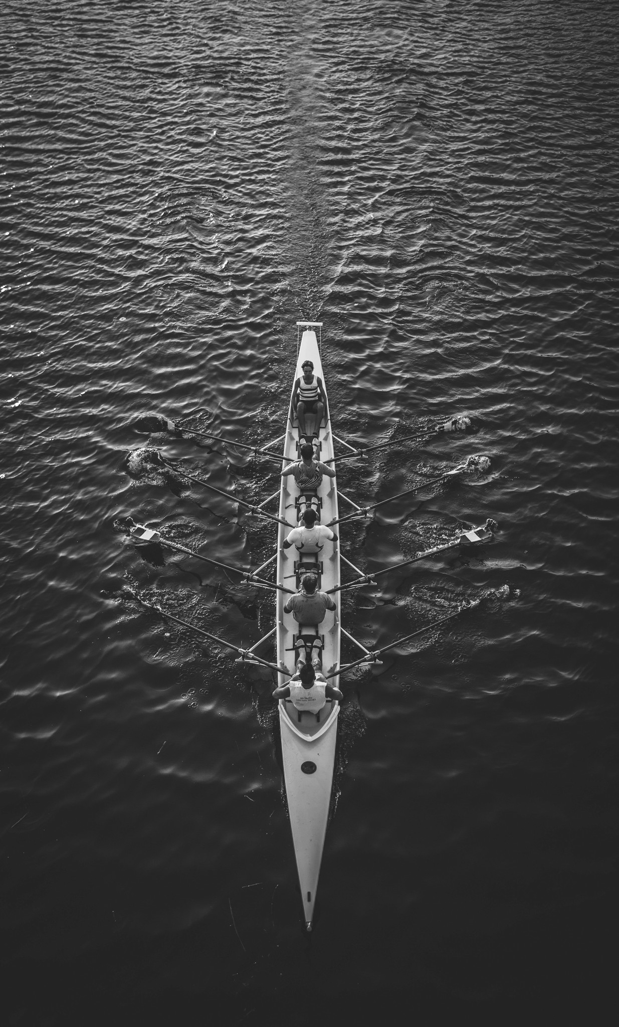 people rowing