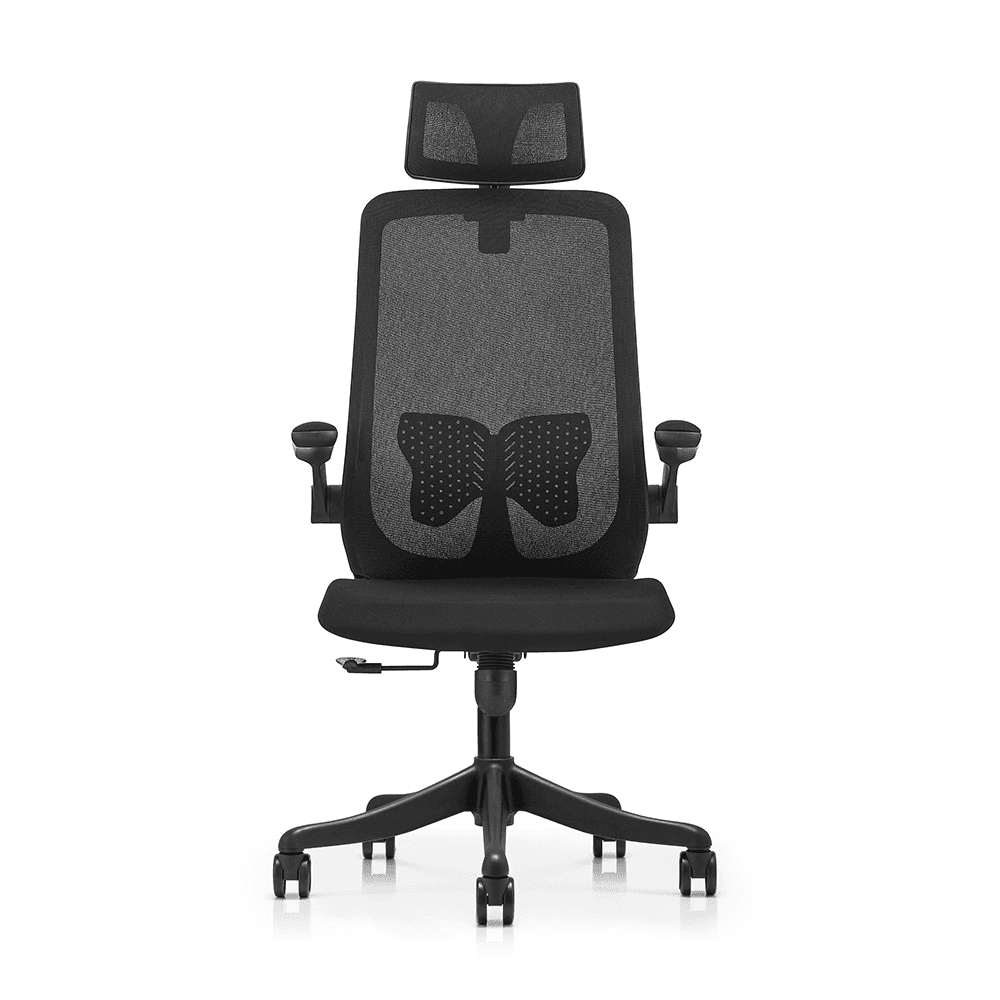 Front view of a black high-back ergonomic office chair featuring a mesh backrest, adjustable headrest, and butterfly-shaped lumbar support.