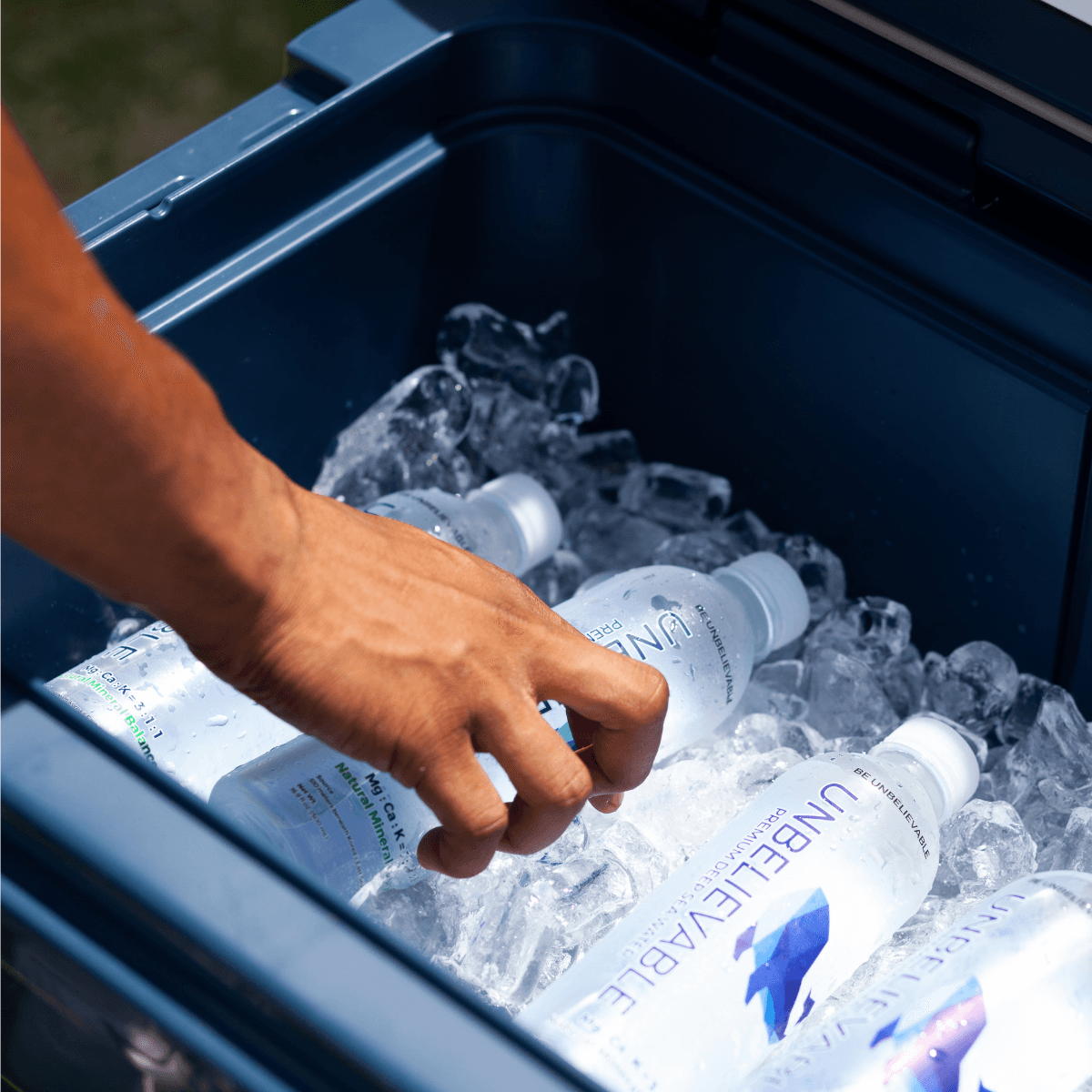 An image of Freelio's project ui