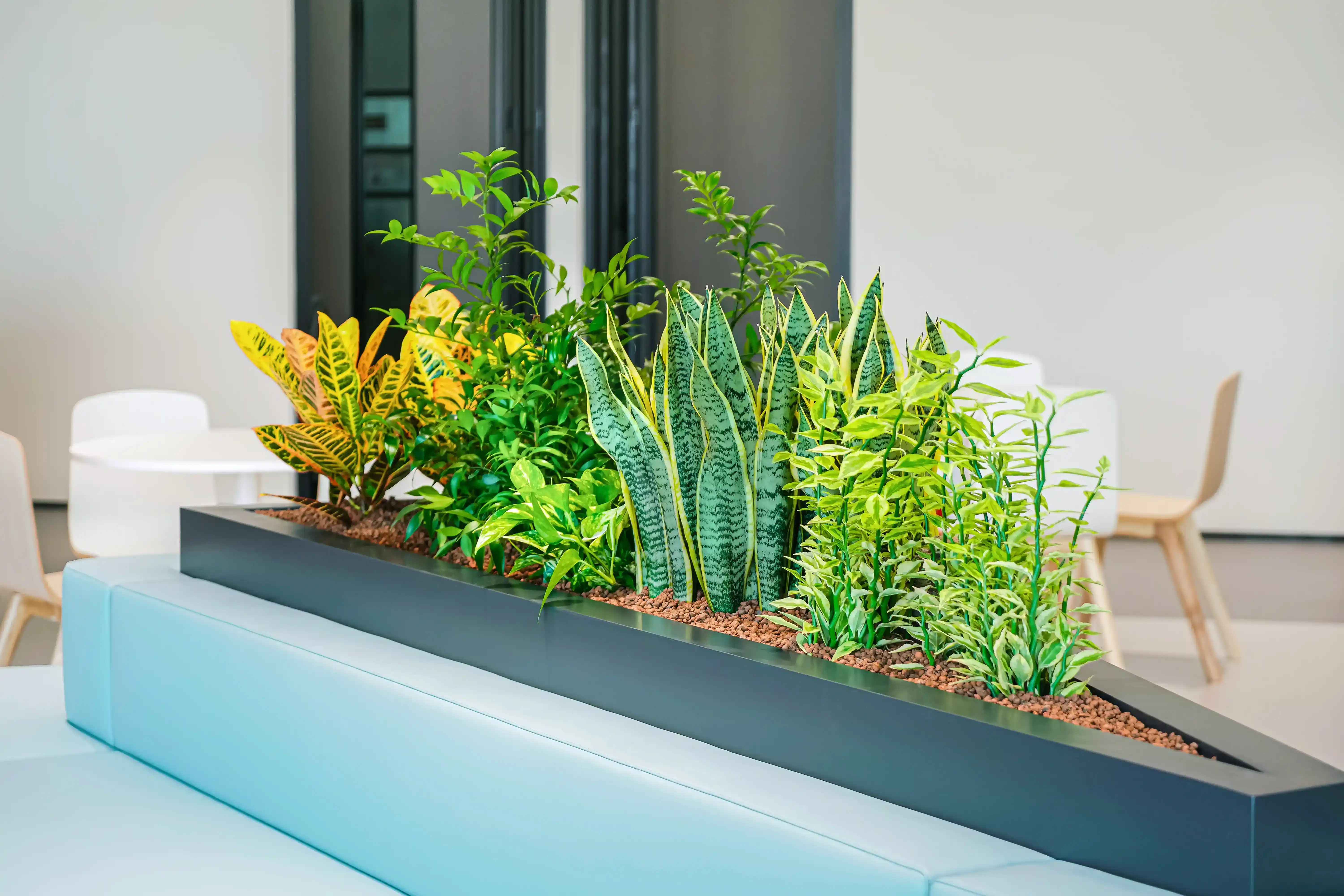 에코피플이 디자인한 삼각형 모양의 실내정원