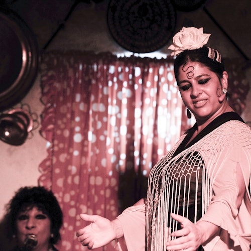 萨克罗蒙特洞穴洛斯塔兰托斯：含饮料和可选晚餐方案的弗拉门戈演出门票，地点：格拉纳达