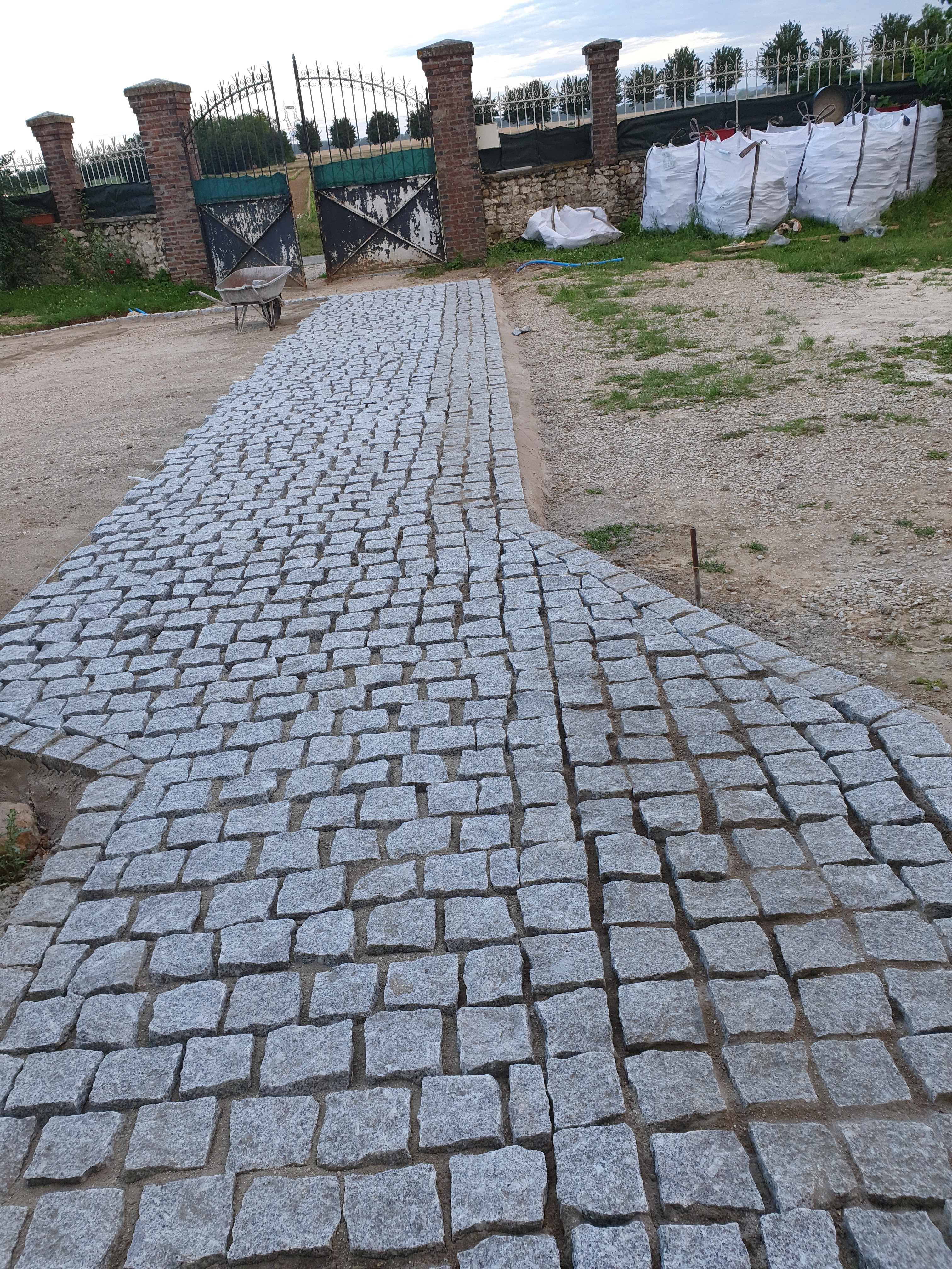 jardin avec une allée pavée et des plantes environnantes