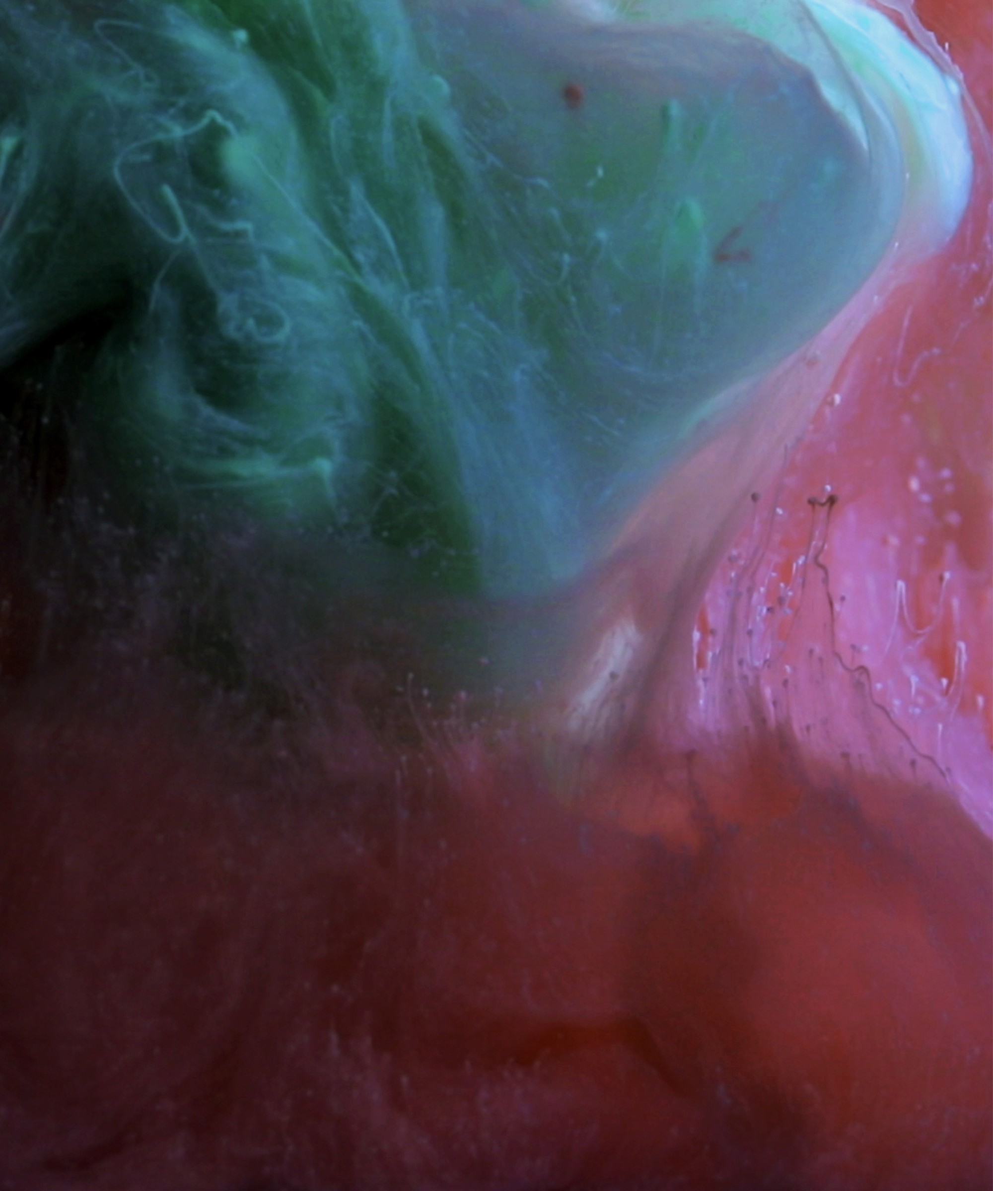 Dom Pérignon vineyards from the sky