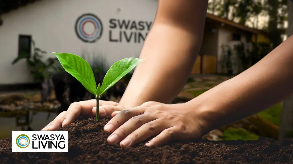 Best time to visit Chikmagalur