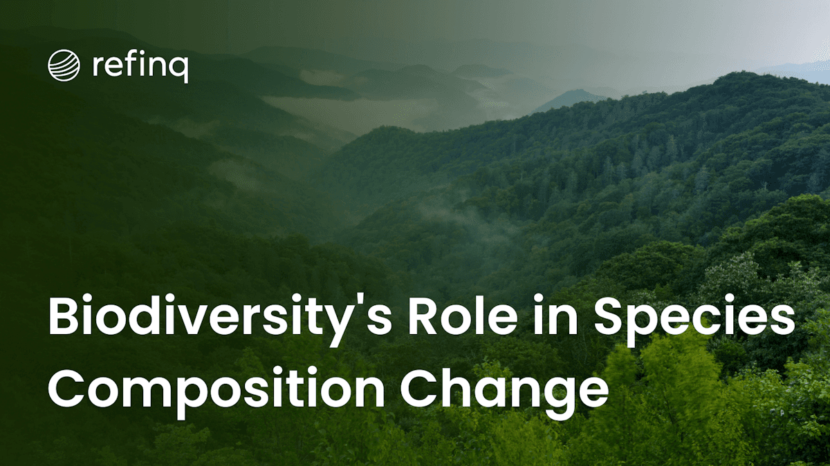 Biodiversity and ecological succession