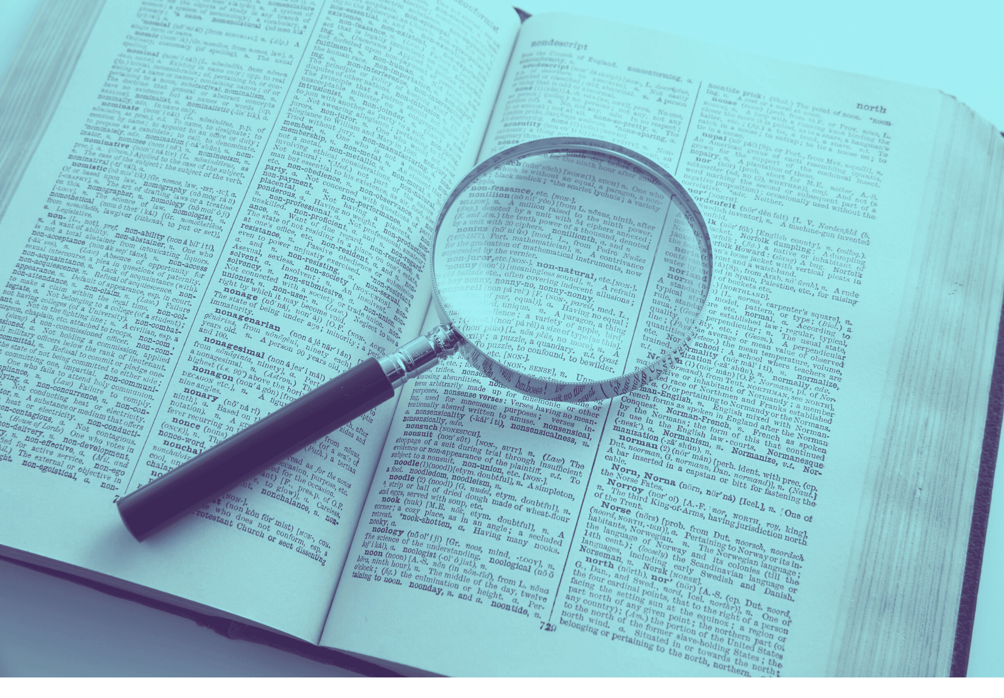 BULK (11.5 x 8 in) (18).png