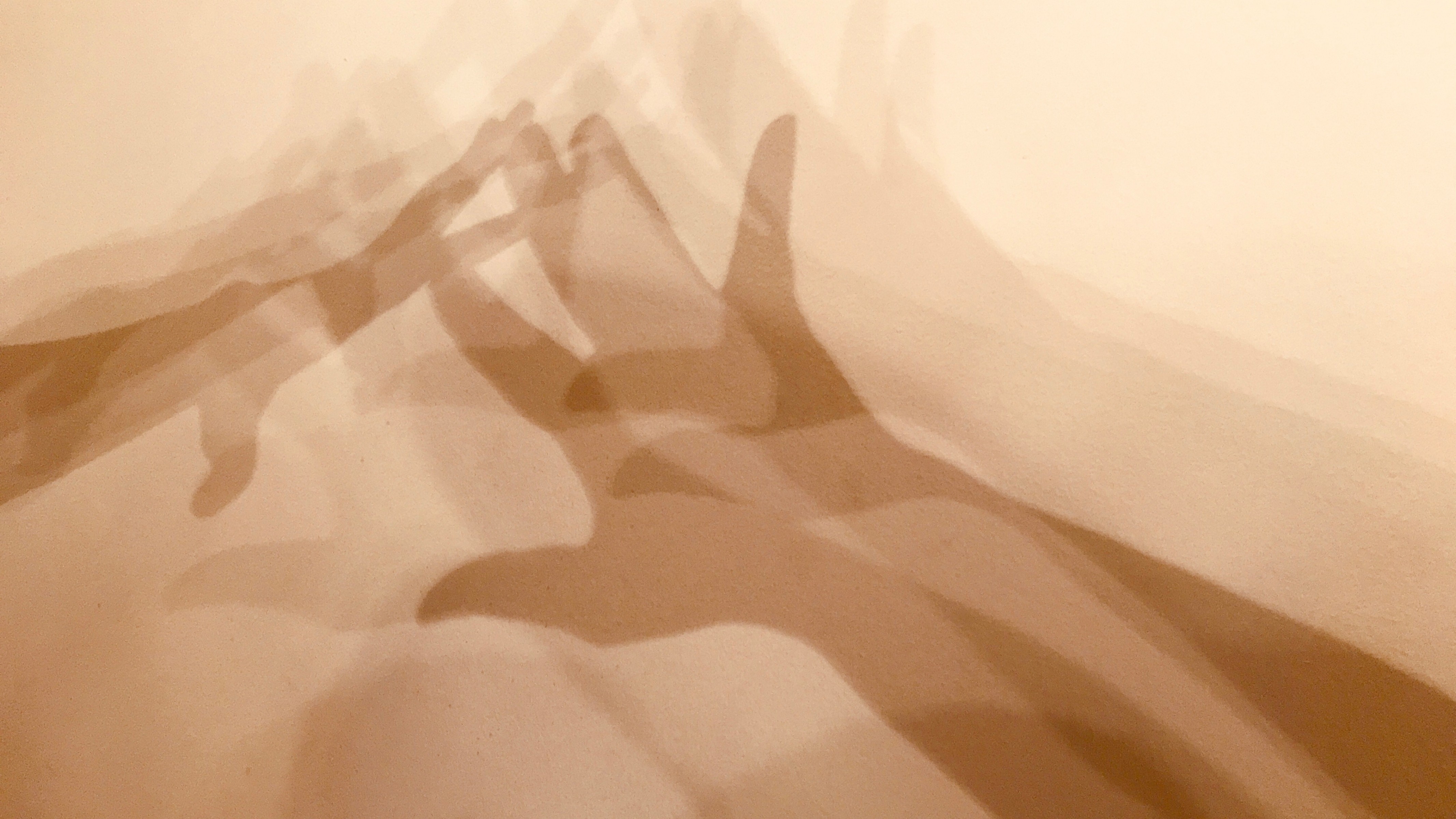 Daily Nervous System Hygiene