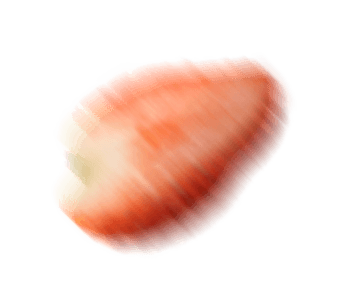 Vector