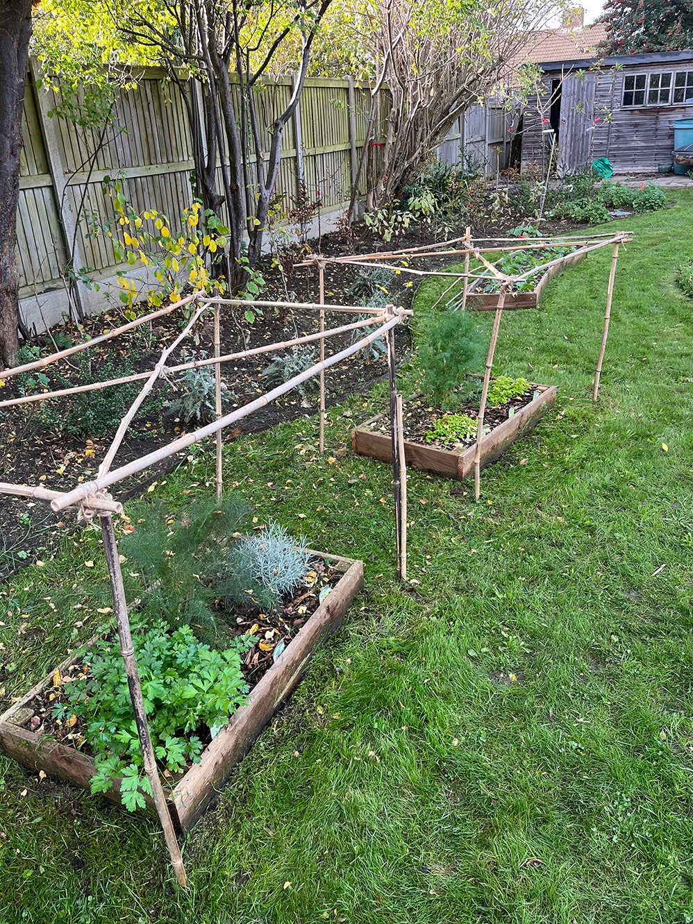 A garden with raised beds featuring green plants and trellises on a grassy area, surrounded by trees and fences.