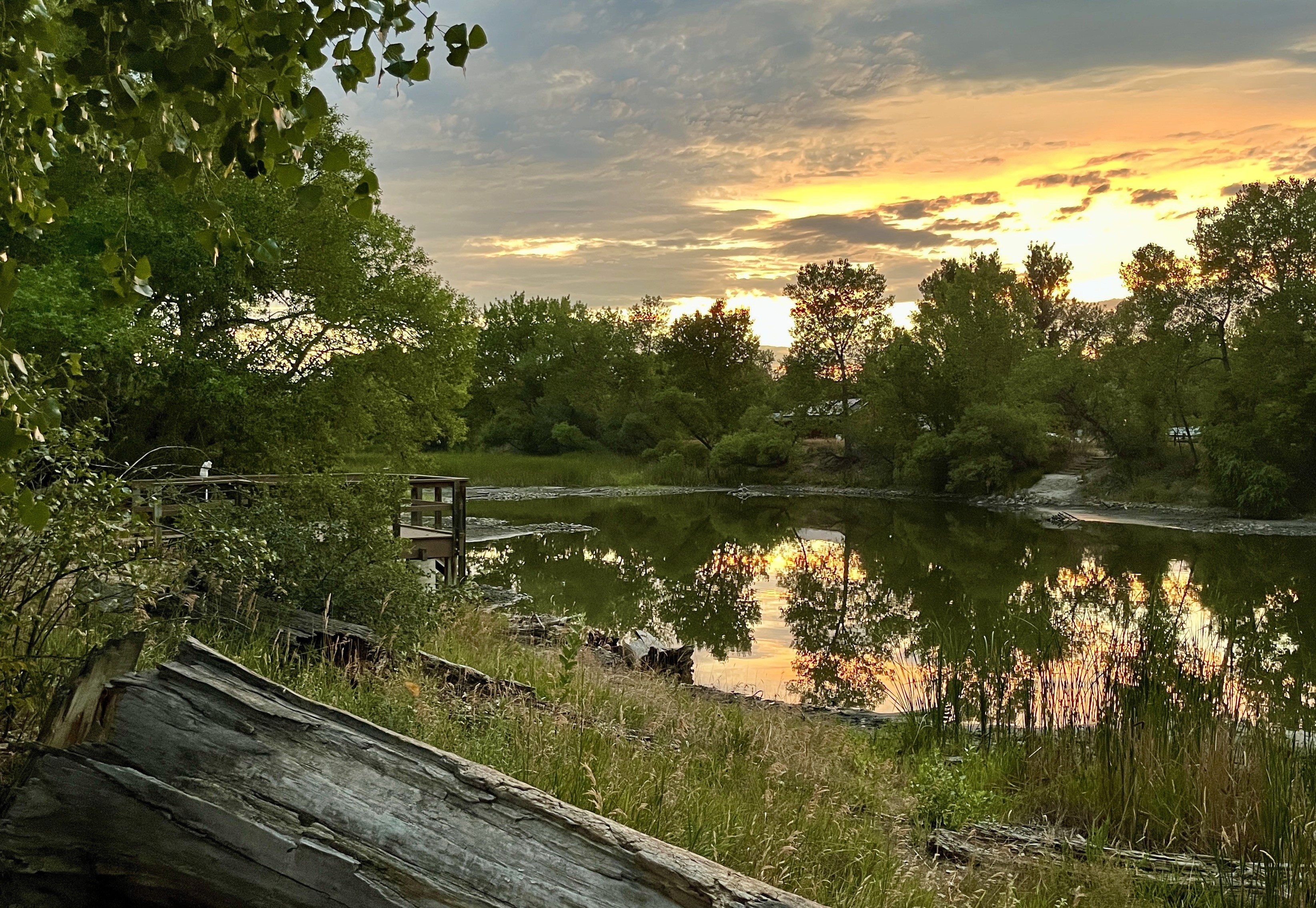 Tree lined North Shields Pond at sunset.
