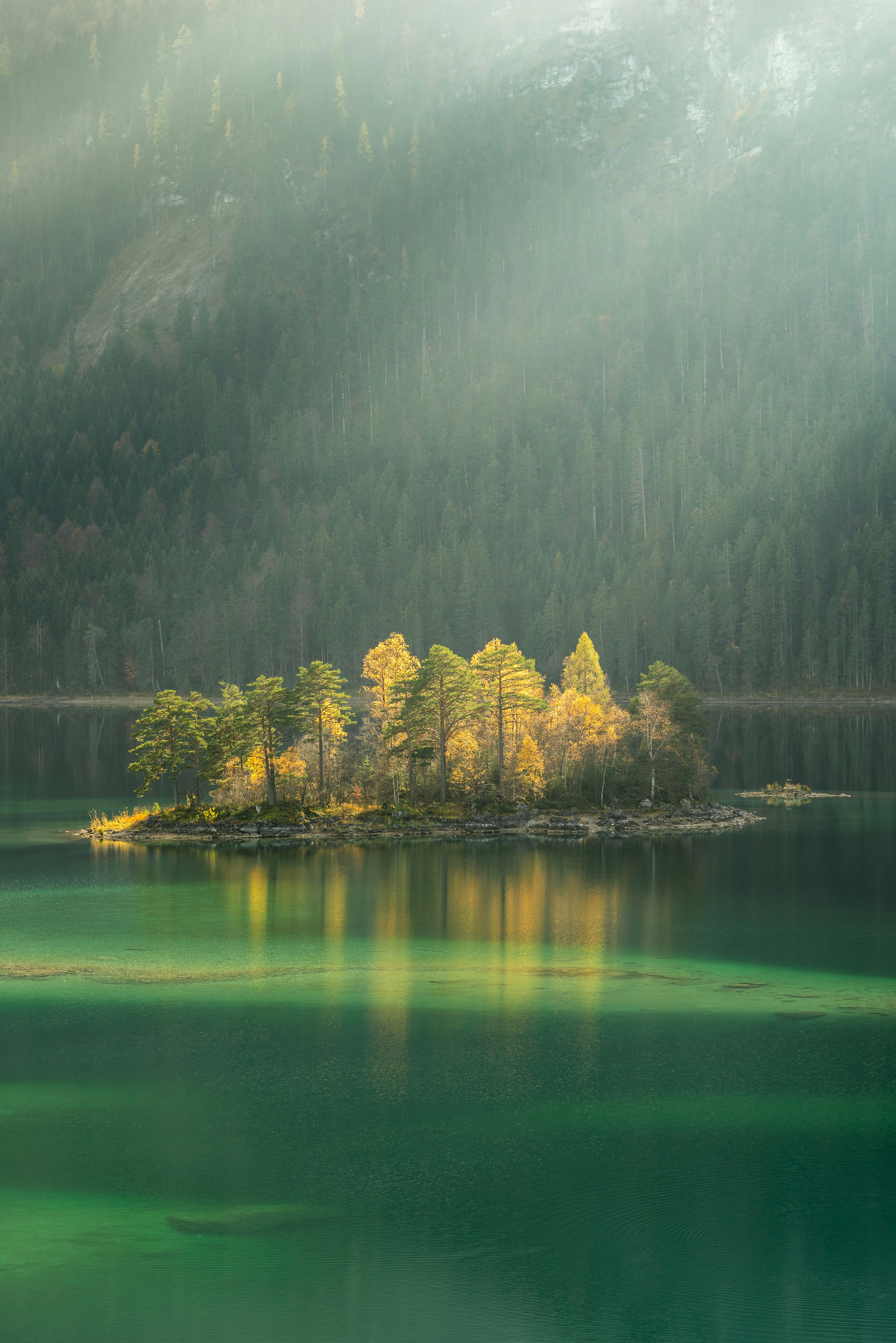 trees surrounded by body water during daytime