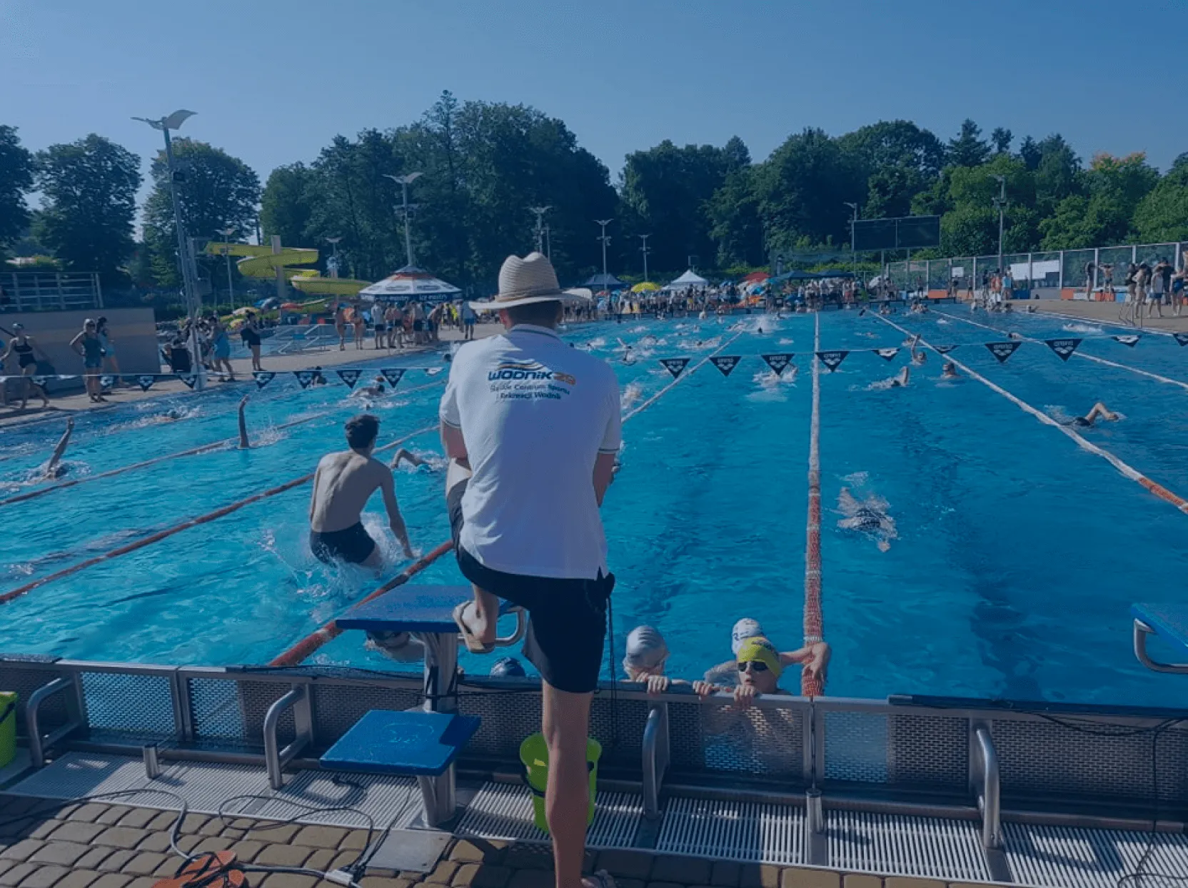 Person standing near a pool with ducks.