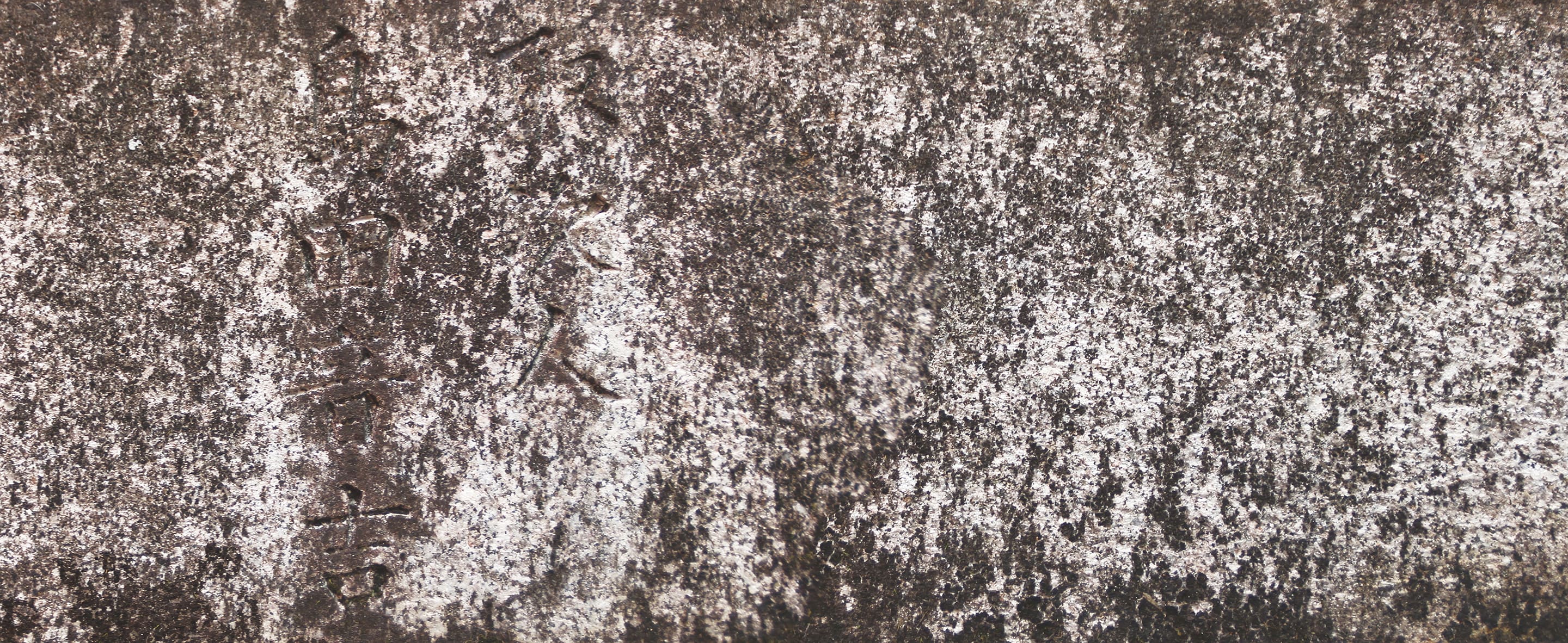 Close-up photograph of a heavily weathered stone surface with faint, nearly erased carved characters. The mottled gray and white textures from lichen and erosion soften the inscriptions into an abstract field, emphasizing loss, time, and natural wear.