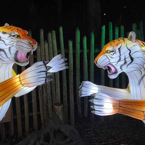 IllumiNights at Zoo Atlanta