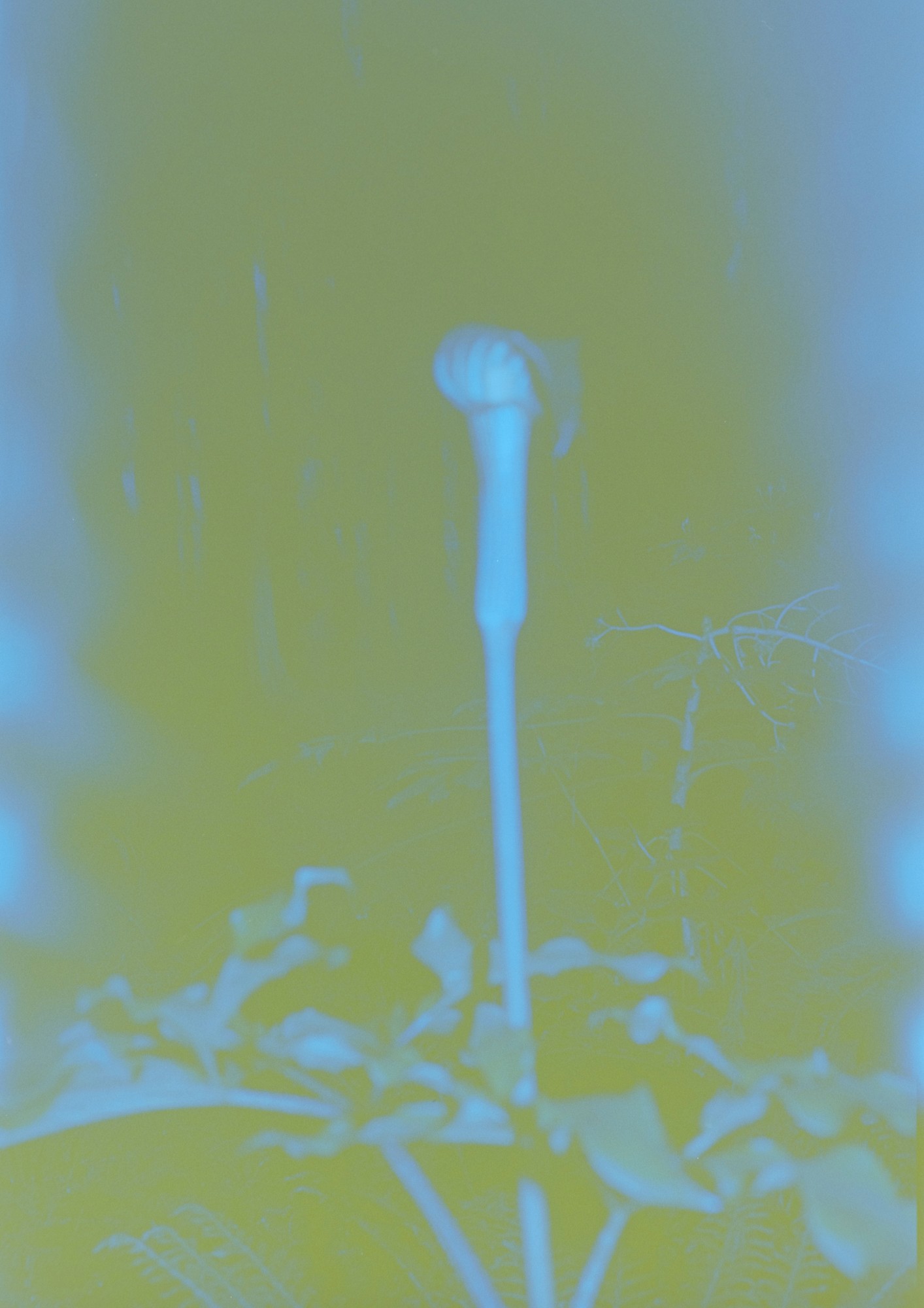 Taisei Matsumoto, 2023 exhibition work 014