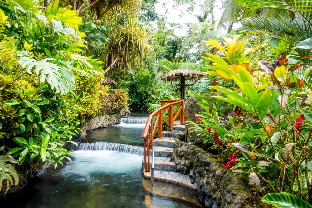 Costa Rican Adventure