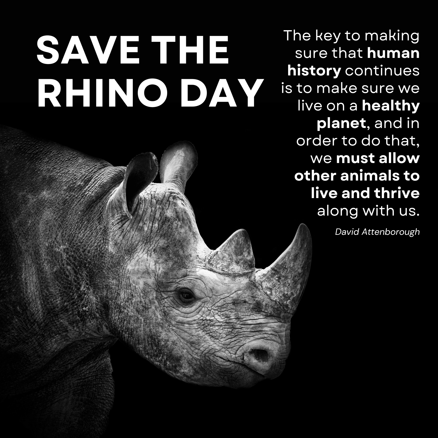 Save the Rhino Day
