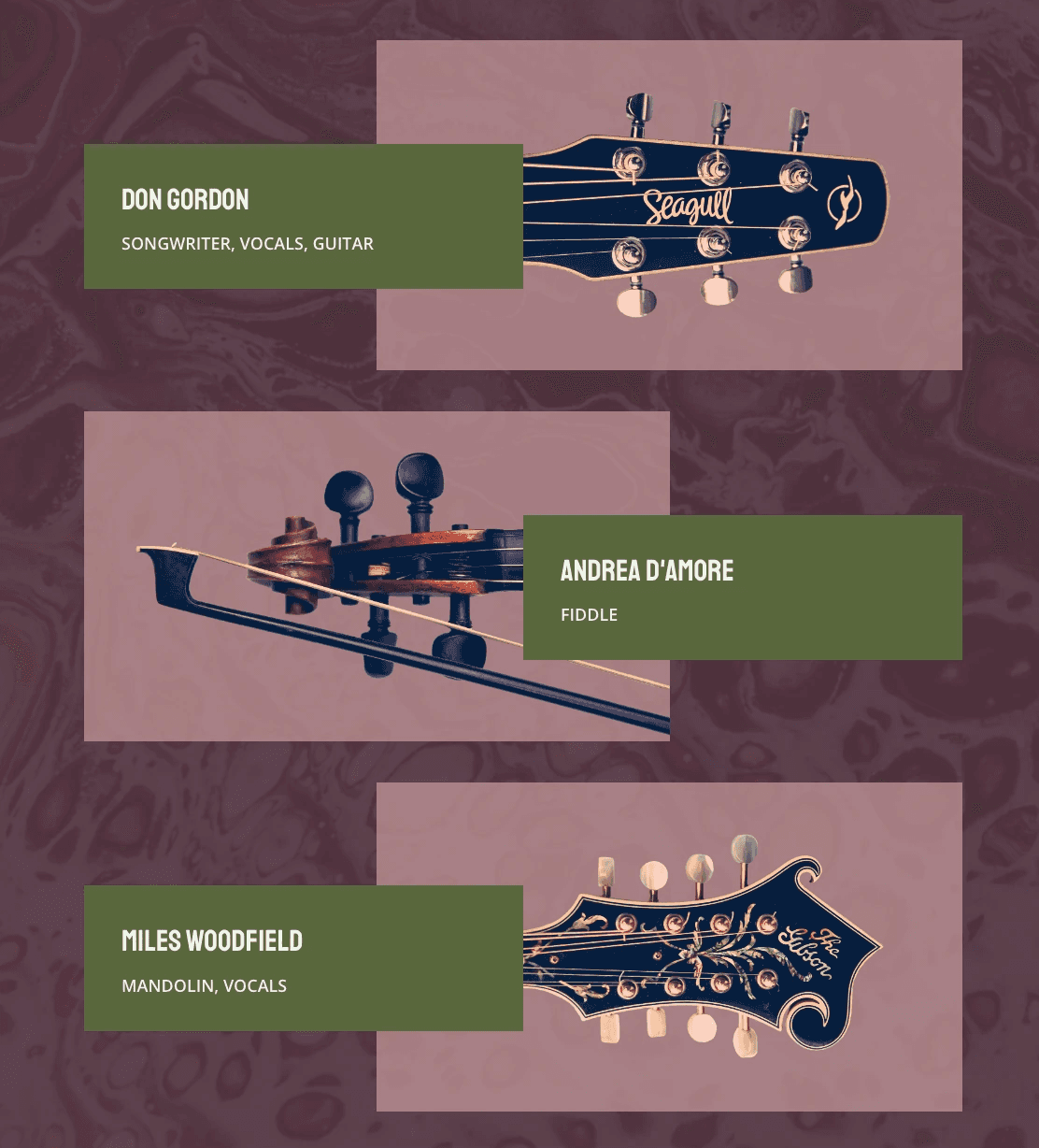 Website headshots of each band member represented by close-up photos of their instrument headstocks