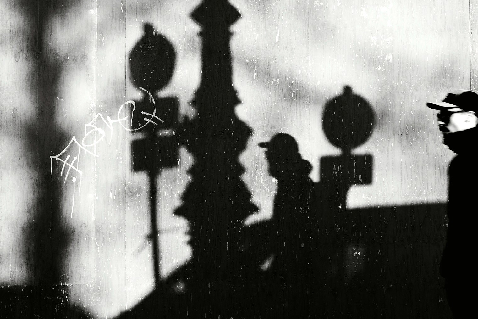 Speculative organic form blending digital aesthetics with spatial research.