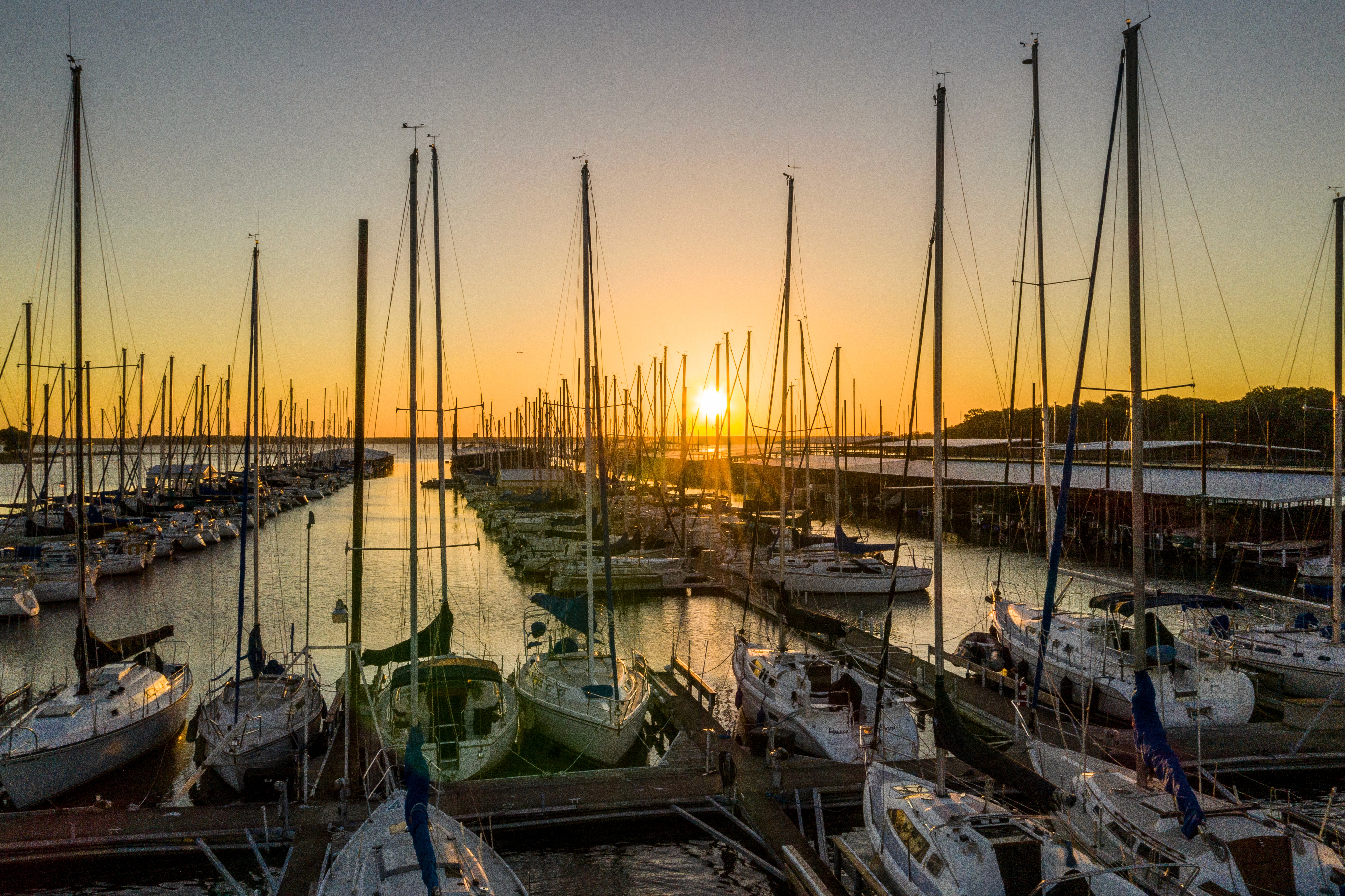 A stunning sunset over Scott's Landing marina with numerous sailboats docked, their tall masts silhouetted against the vibrant orange and yellow sky reflects on the calm waters.