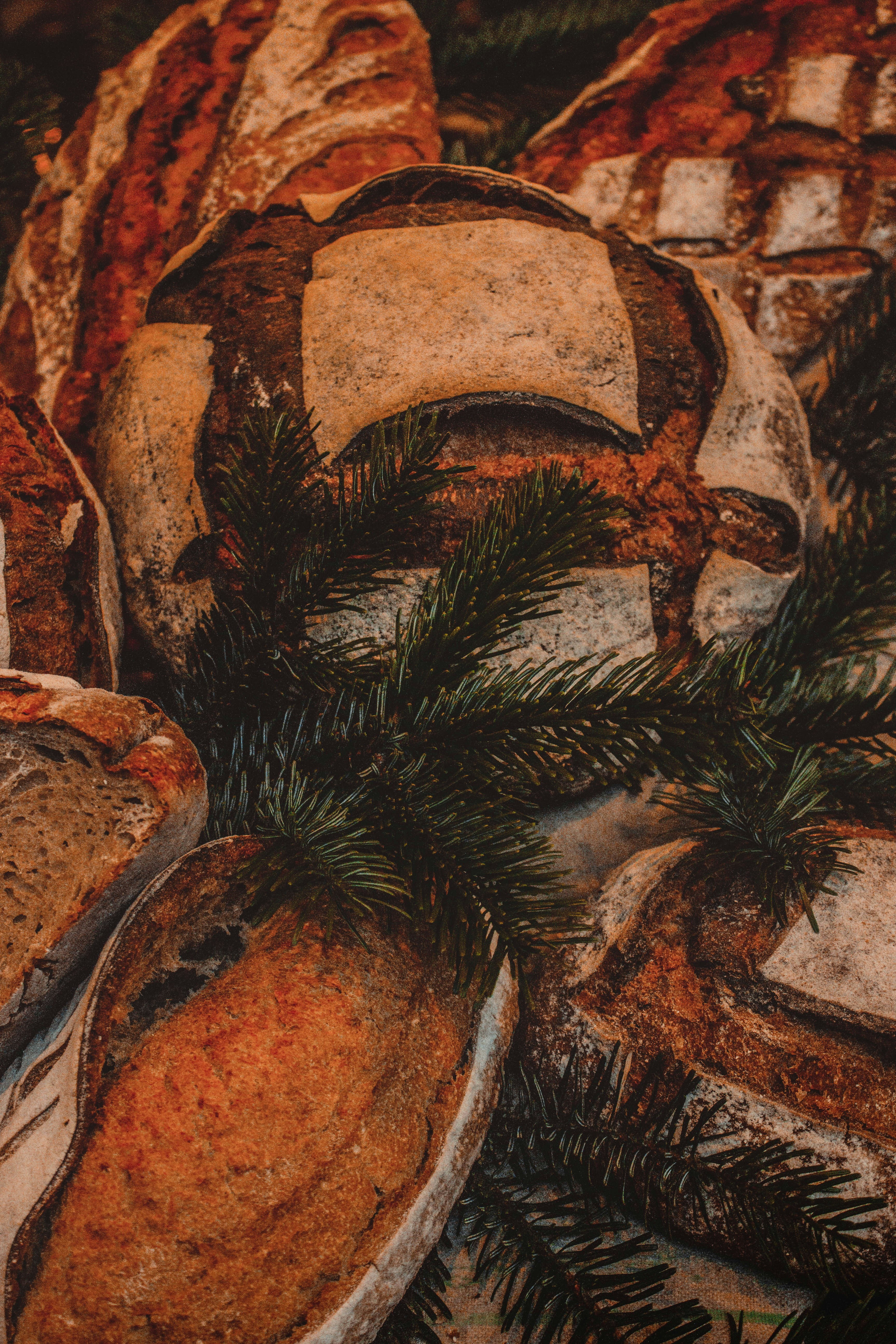 buns close-up photography