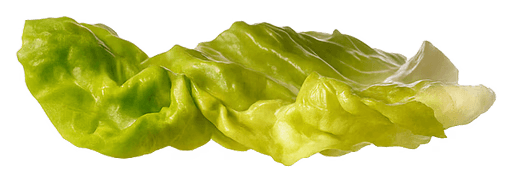 Green Lettuce