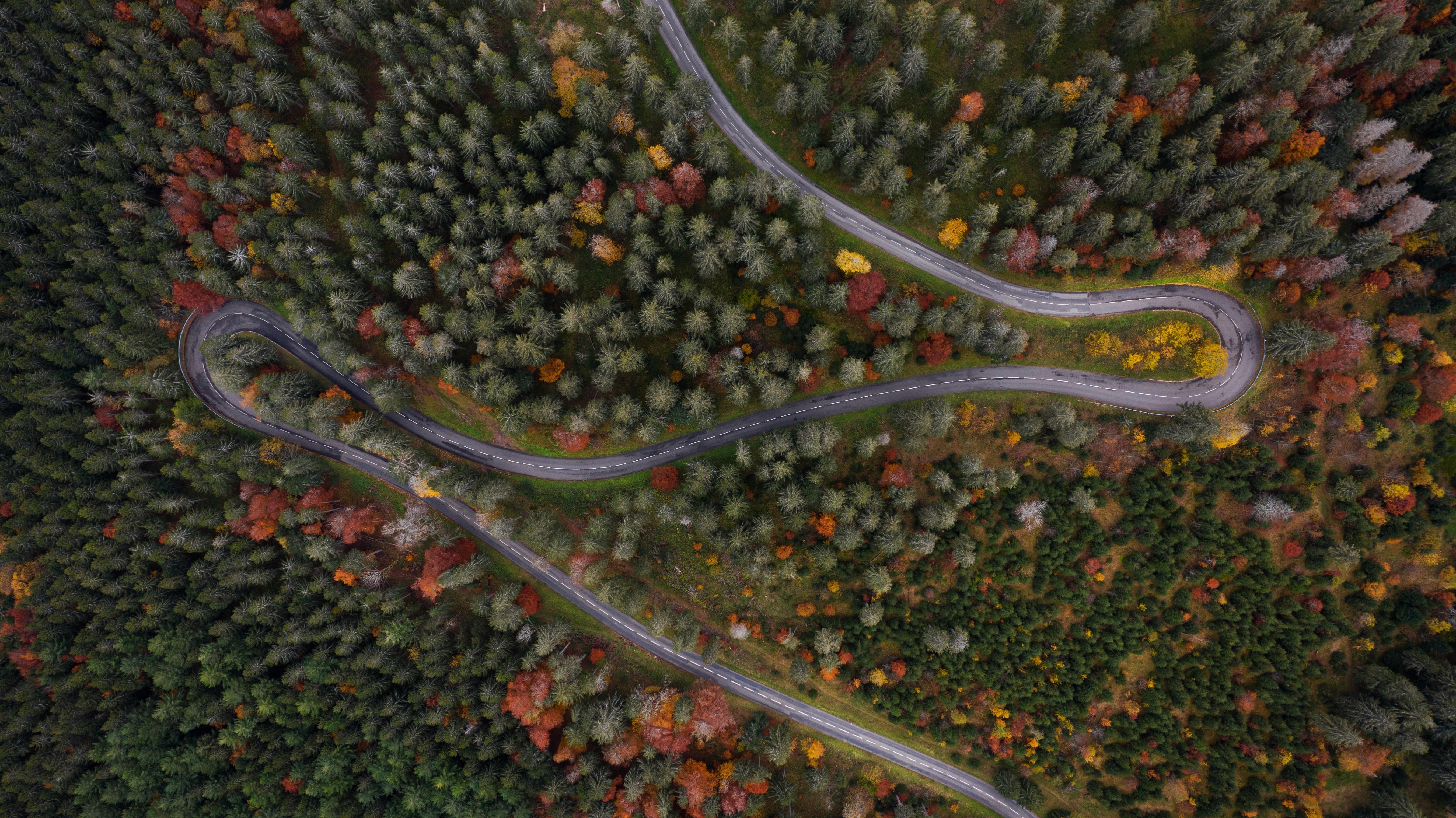Silhouette of a filmmaker with a camera on a tripod in a dimly lit alley, bathed in orange light and mist, creating a moody, cinematic atmosphere.