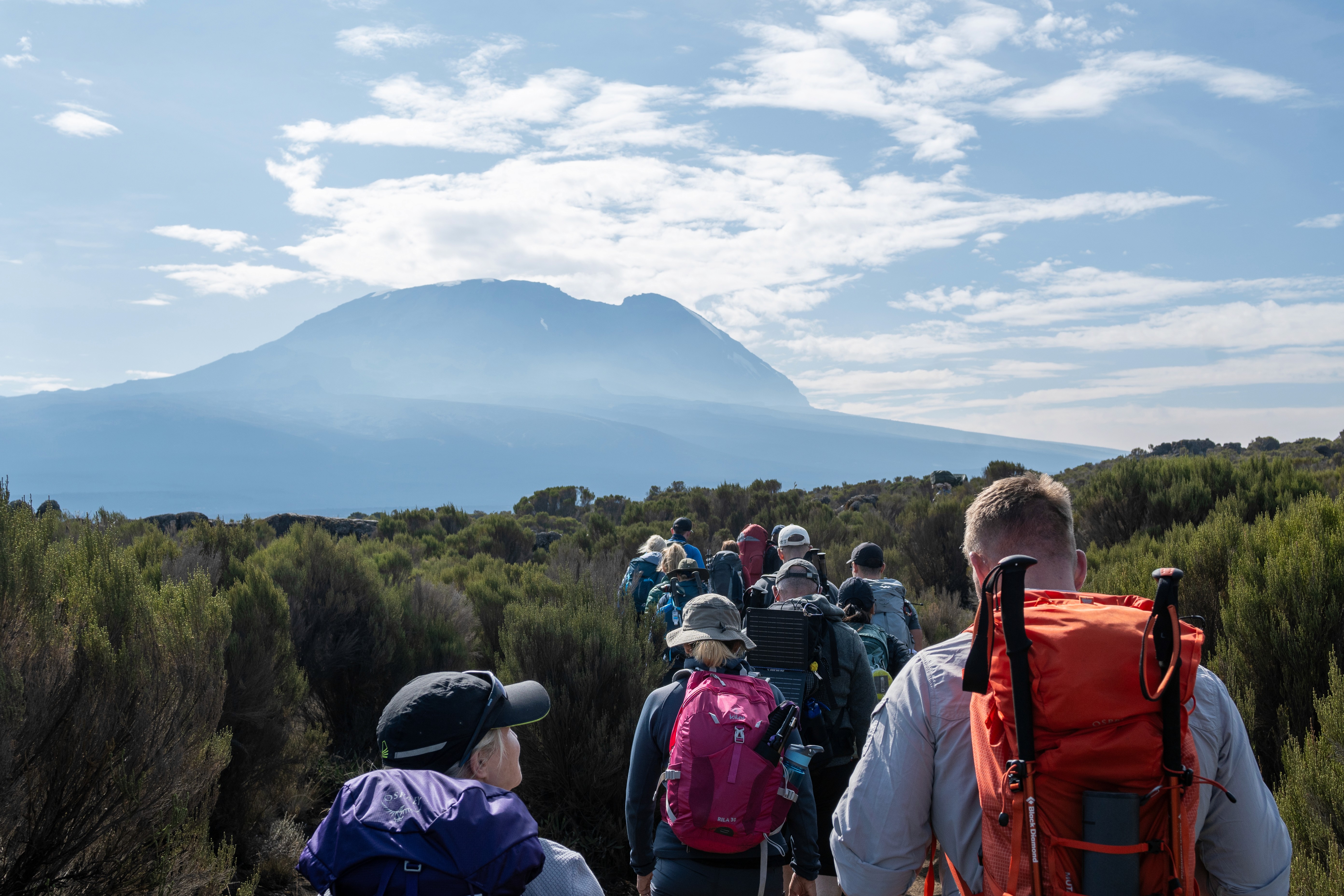 View of Kilimanjaro summit from the Lemosho Route on a clear morning