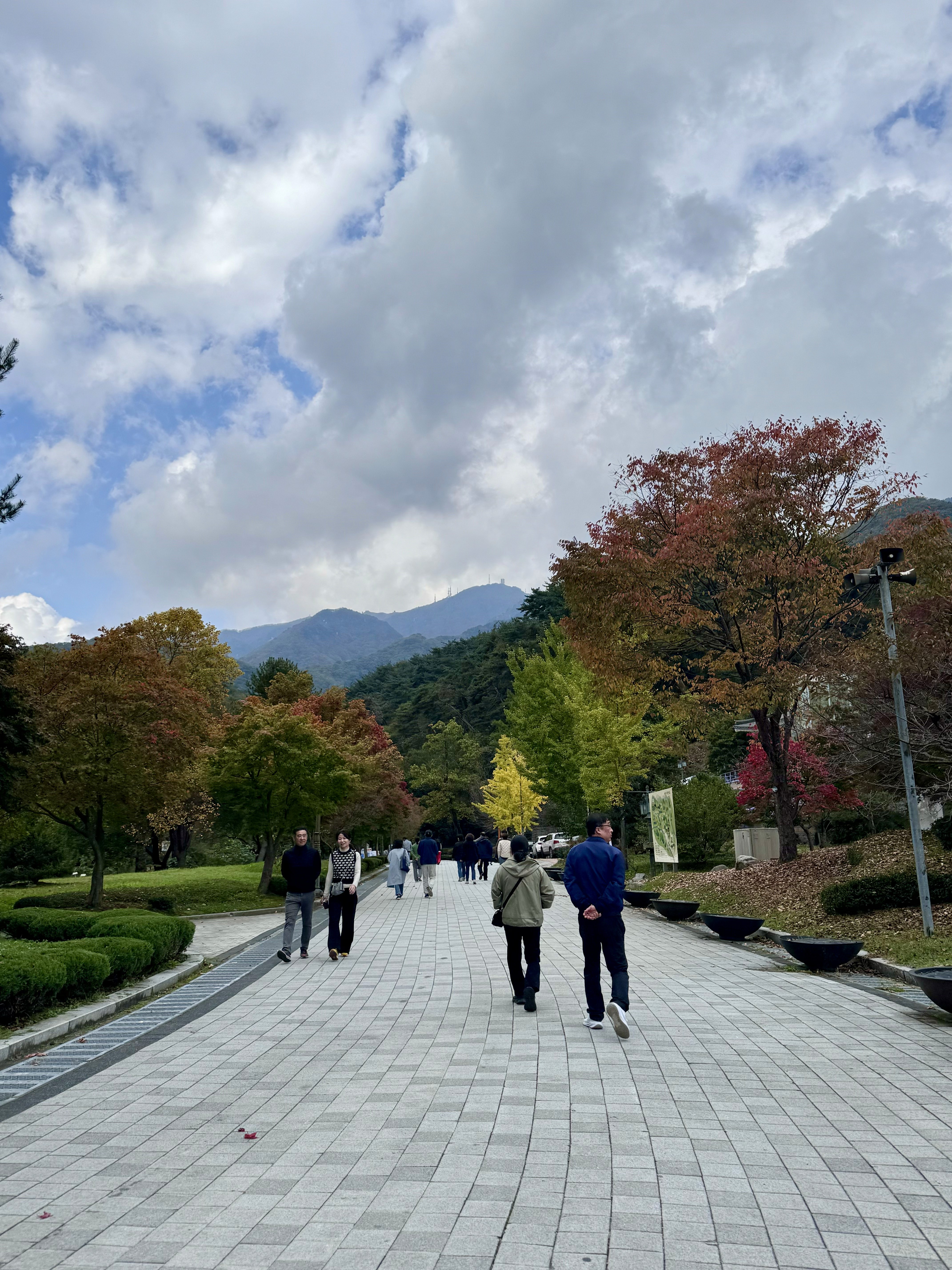The autums colours along the temple path.