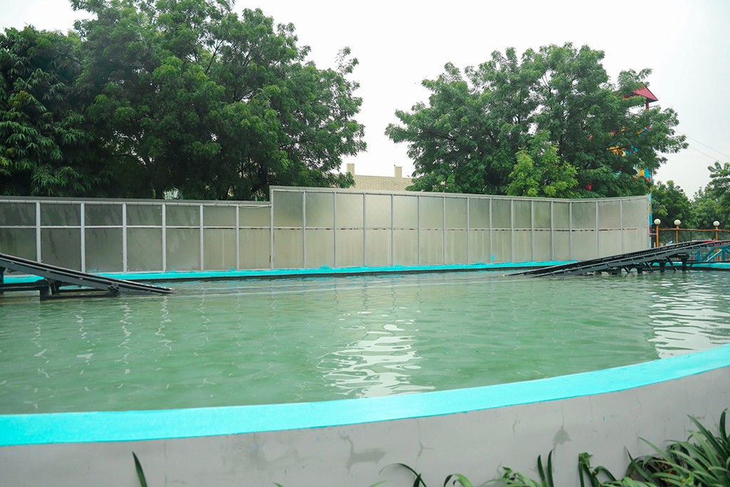 Cozy orange armchair and sofa with cushions, plant.