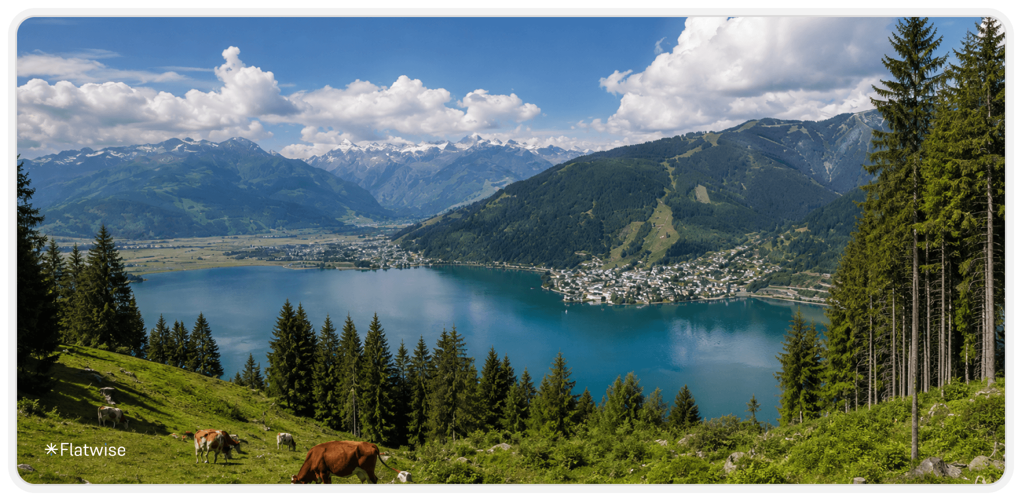 Alpenlandschaft in Österreich mit Bergsee, Almwiesen, Kühen, Wald und Bergpanorama an einem sonnigen Sommertag.