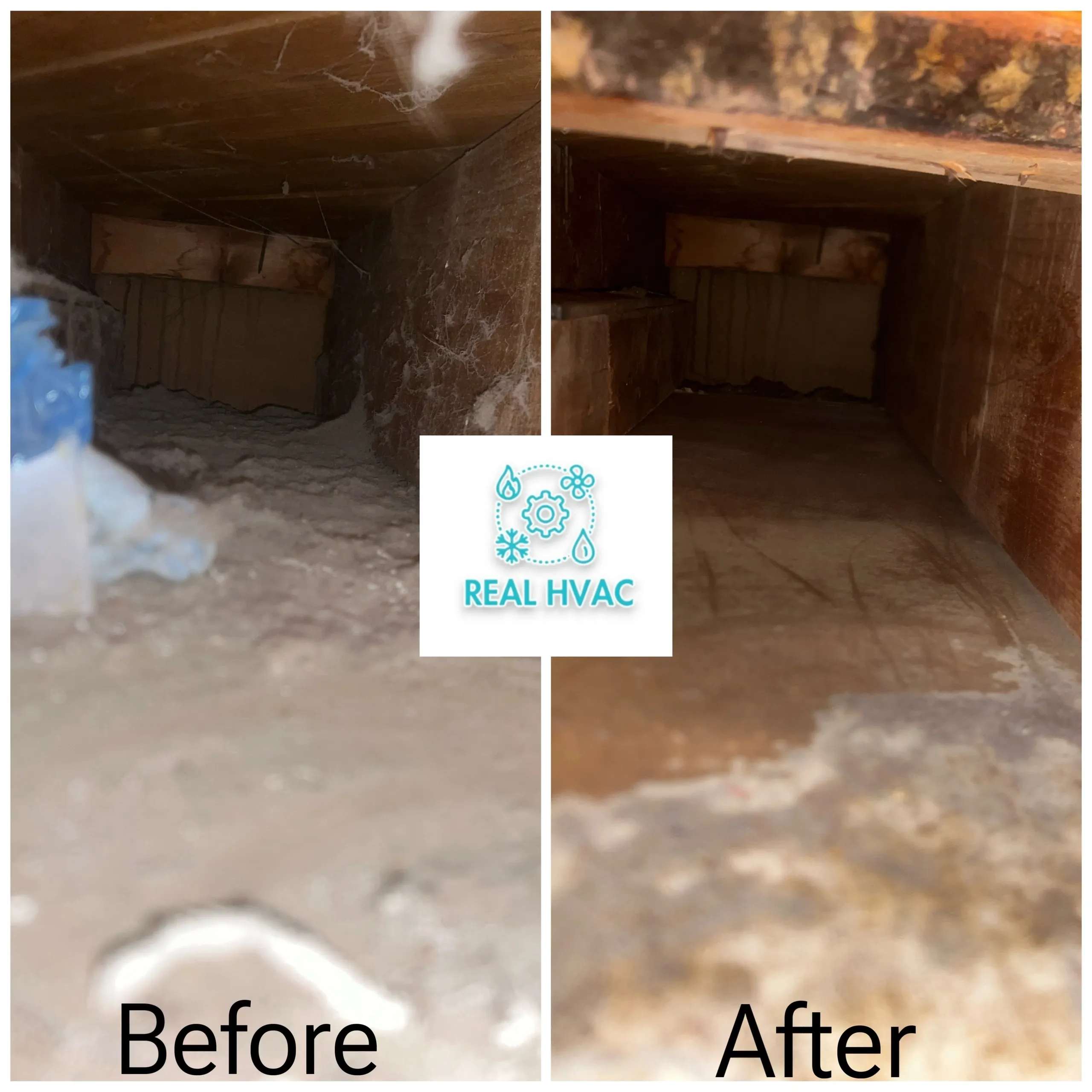 before after picture